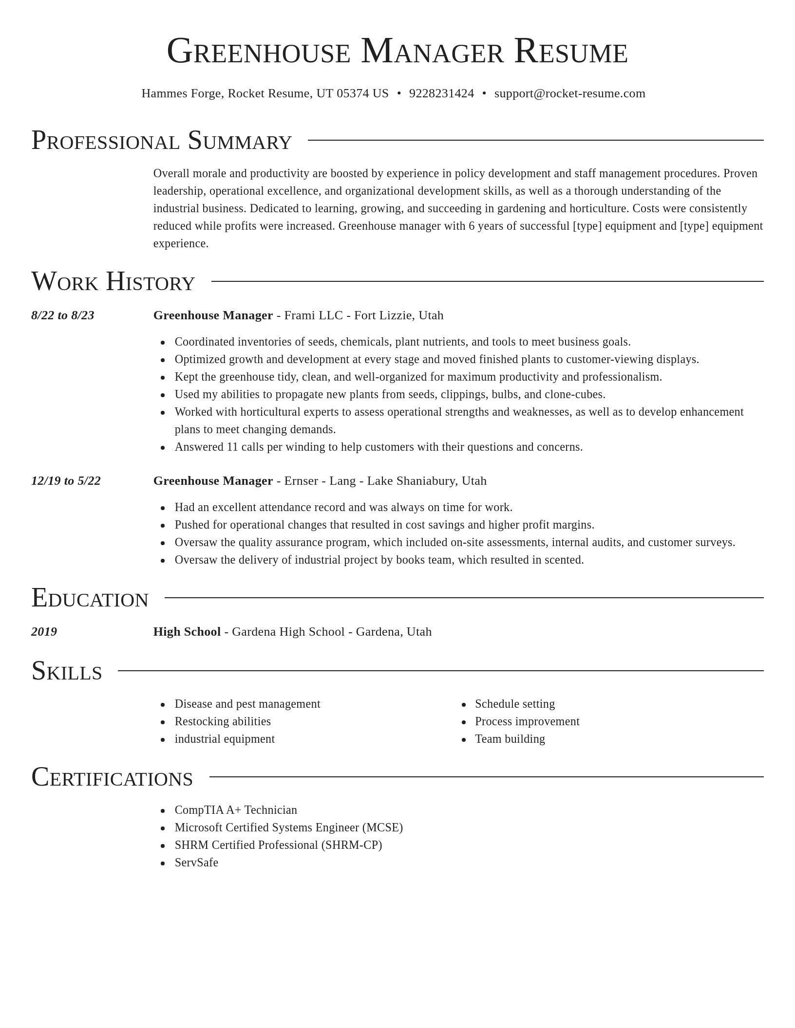 Director resume template