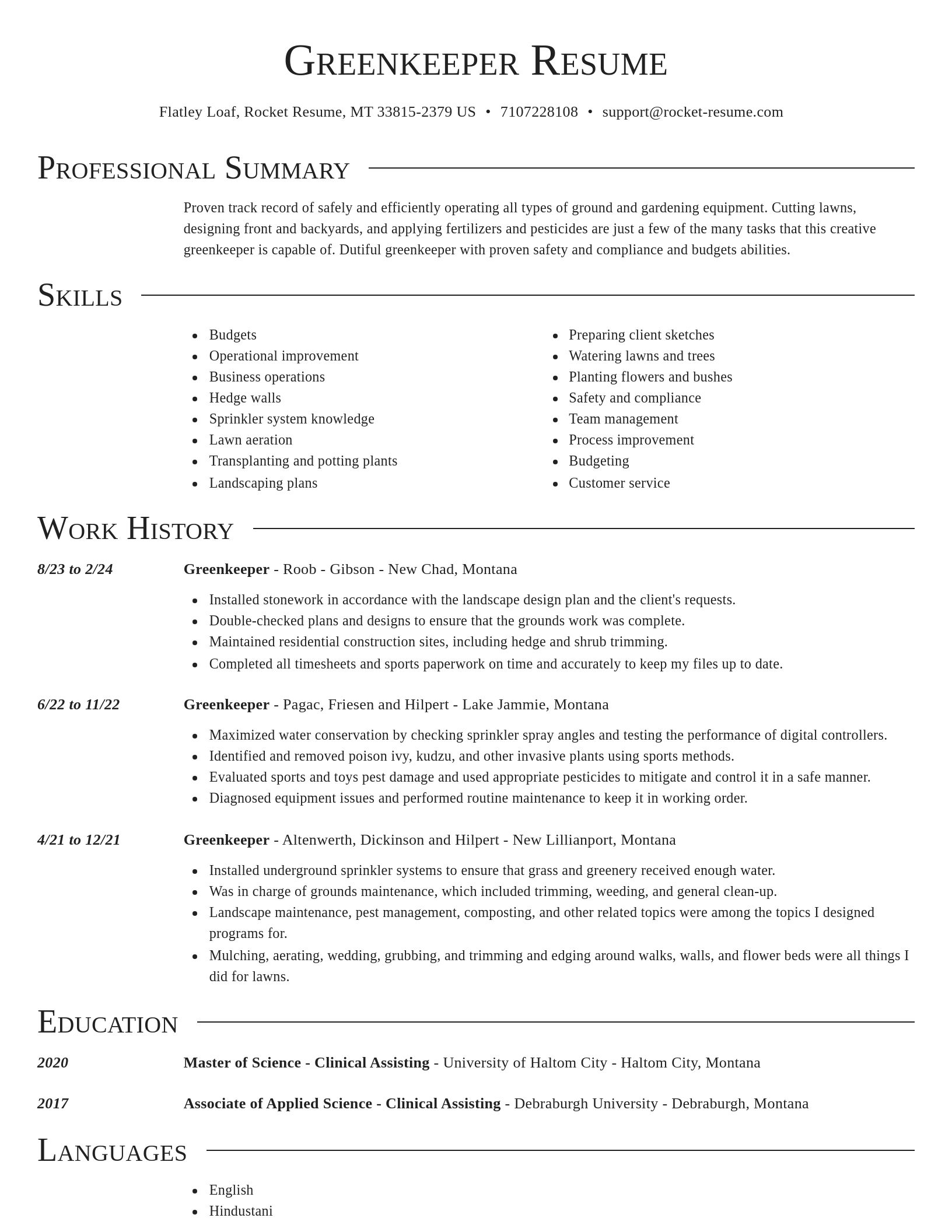 Director resume template