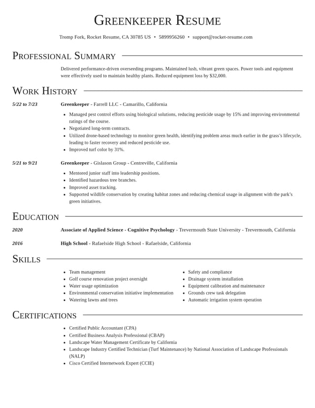 Director resume template