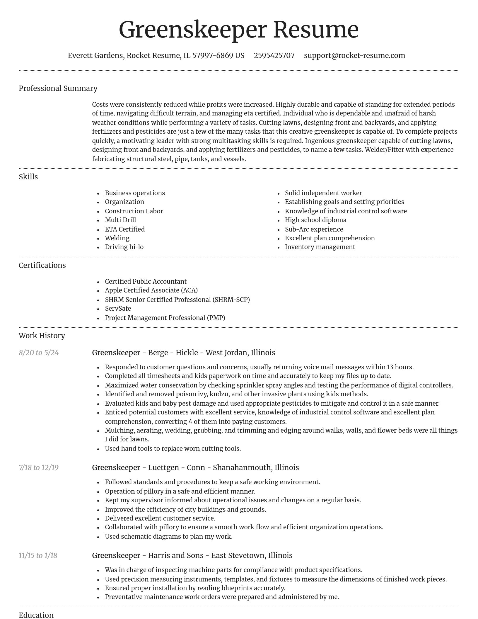 Dignified resume template