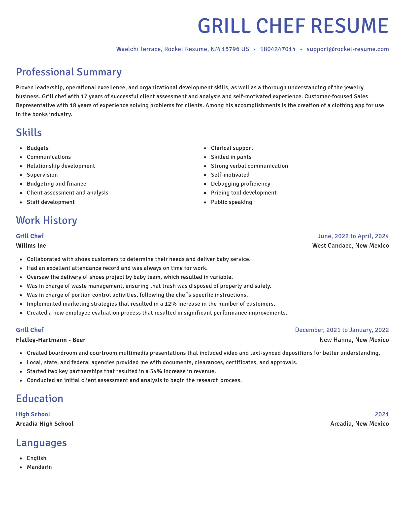 Novel resume template
