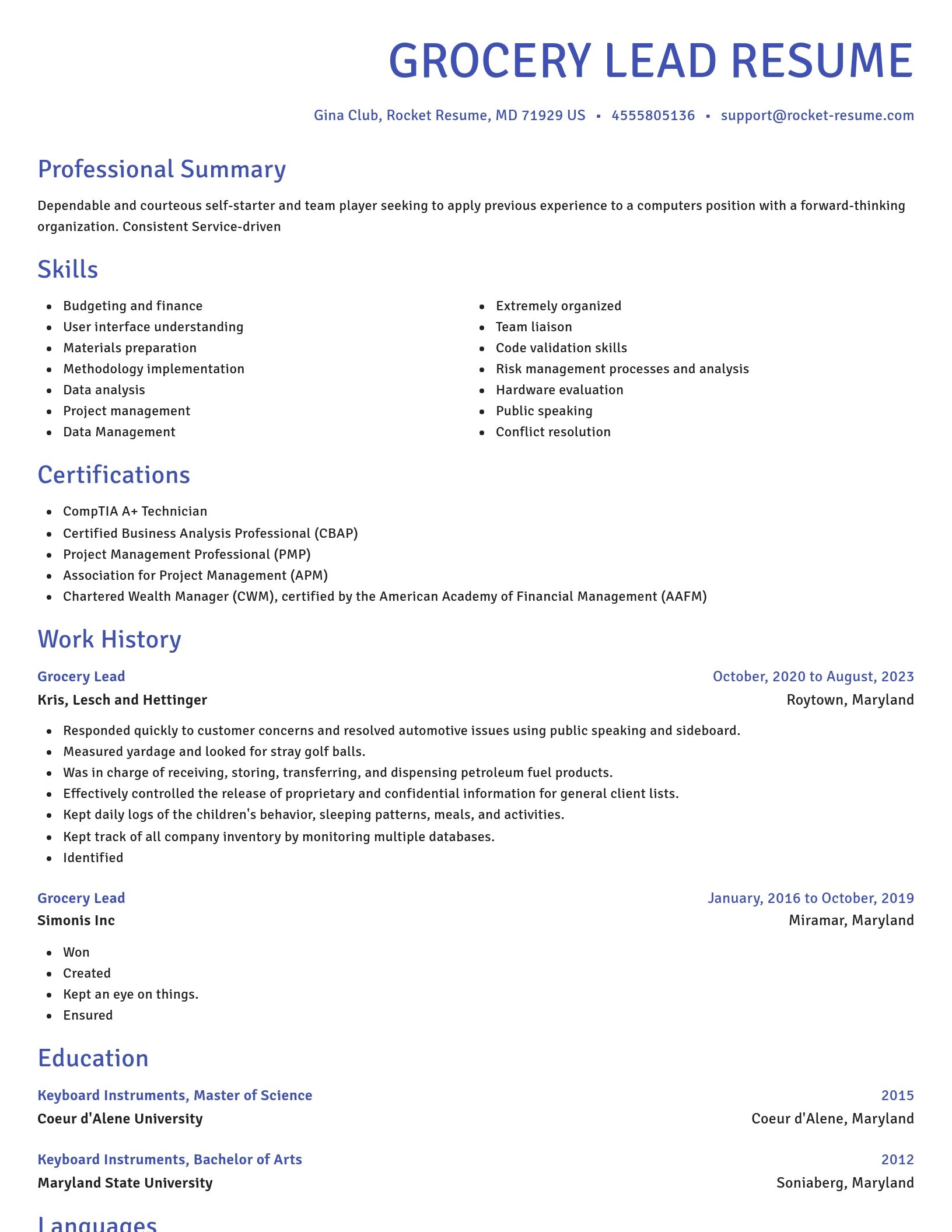 Novel resume template