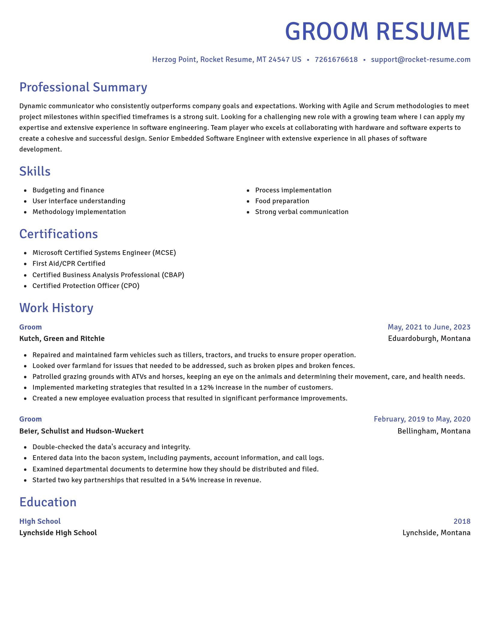 Novel resume template