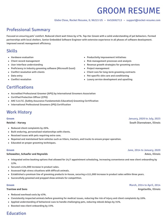 Novel resume template