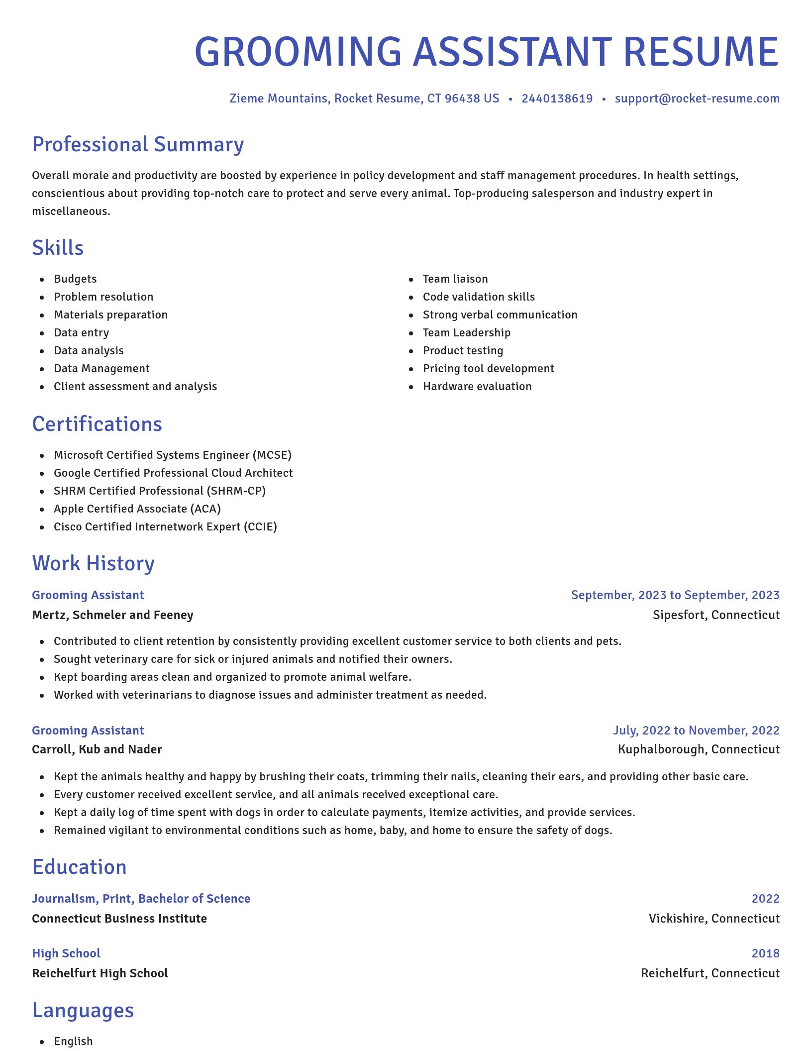 Novel resume template