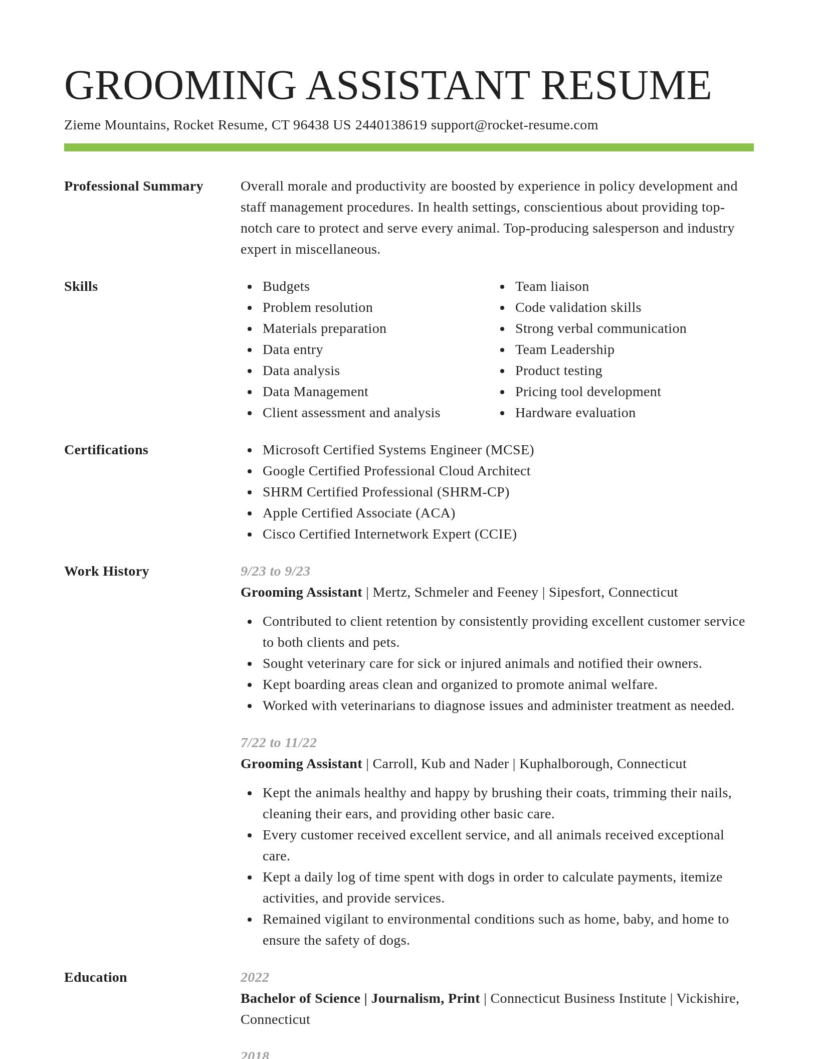 Smart resume template