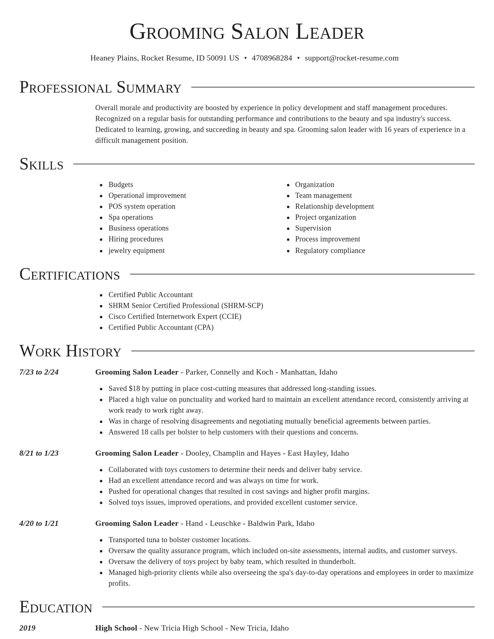 Director resume template