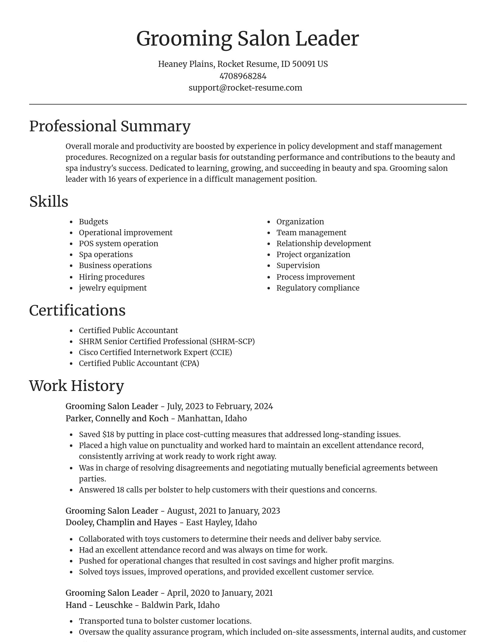 Focal Point resume template