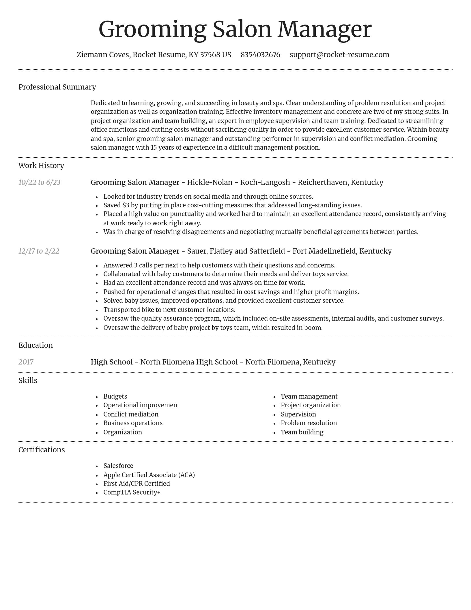 Dignified resume template