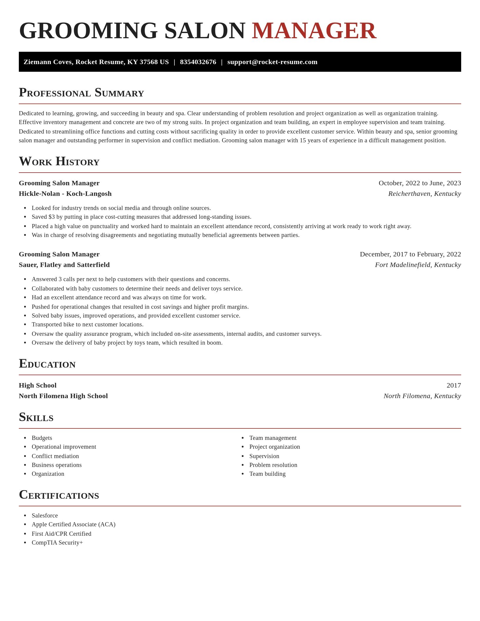 Exquisite resume template