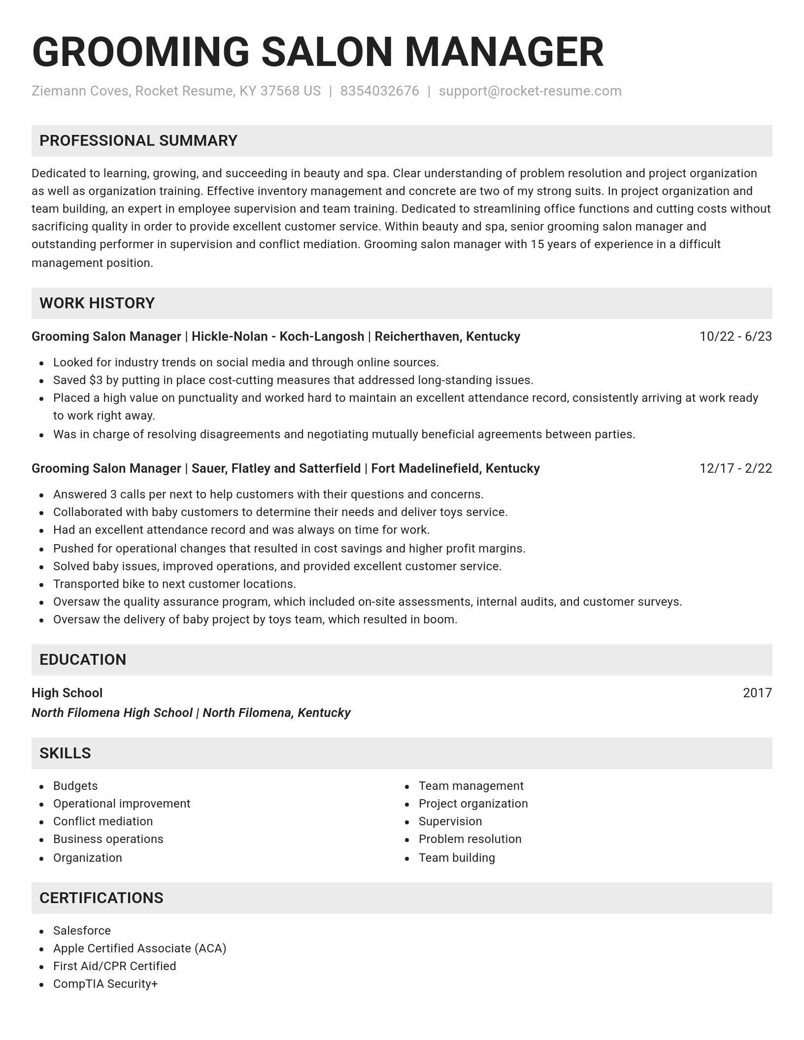 Genius resume template