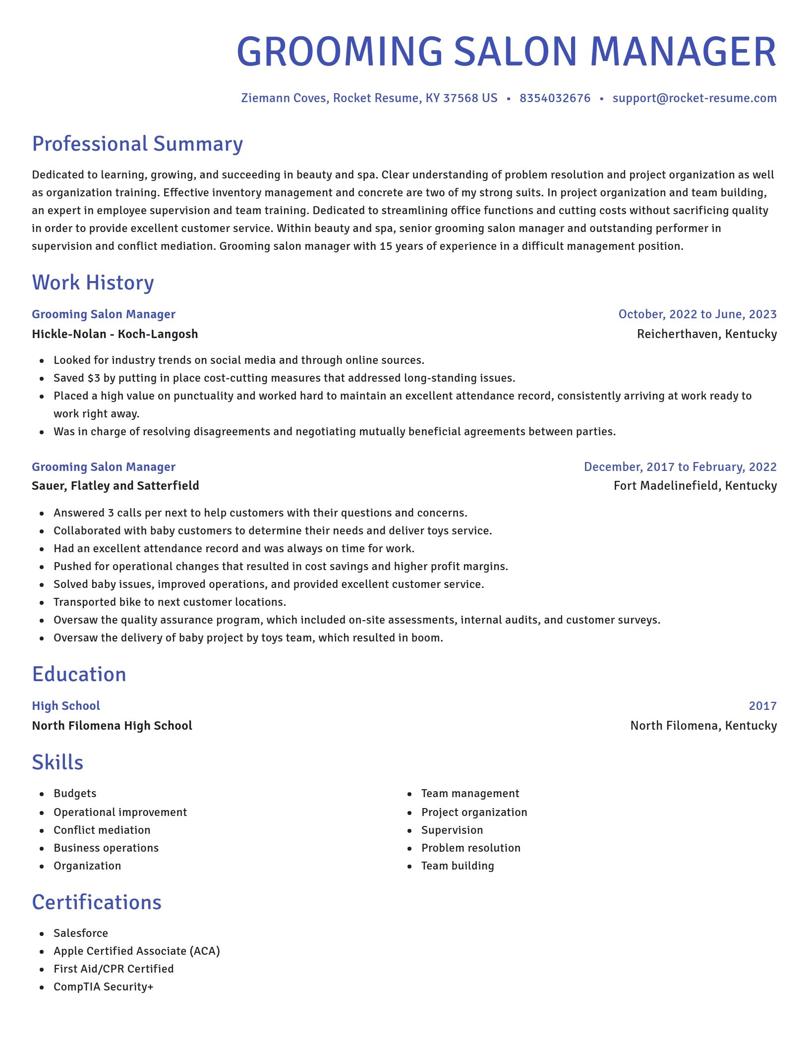 Novel resume template
