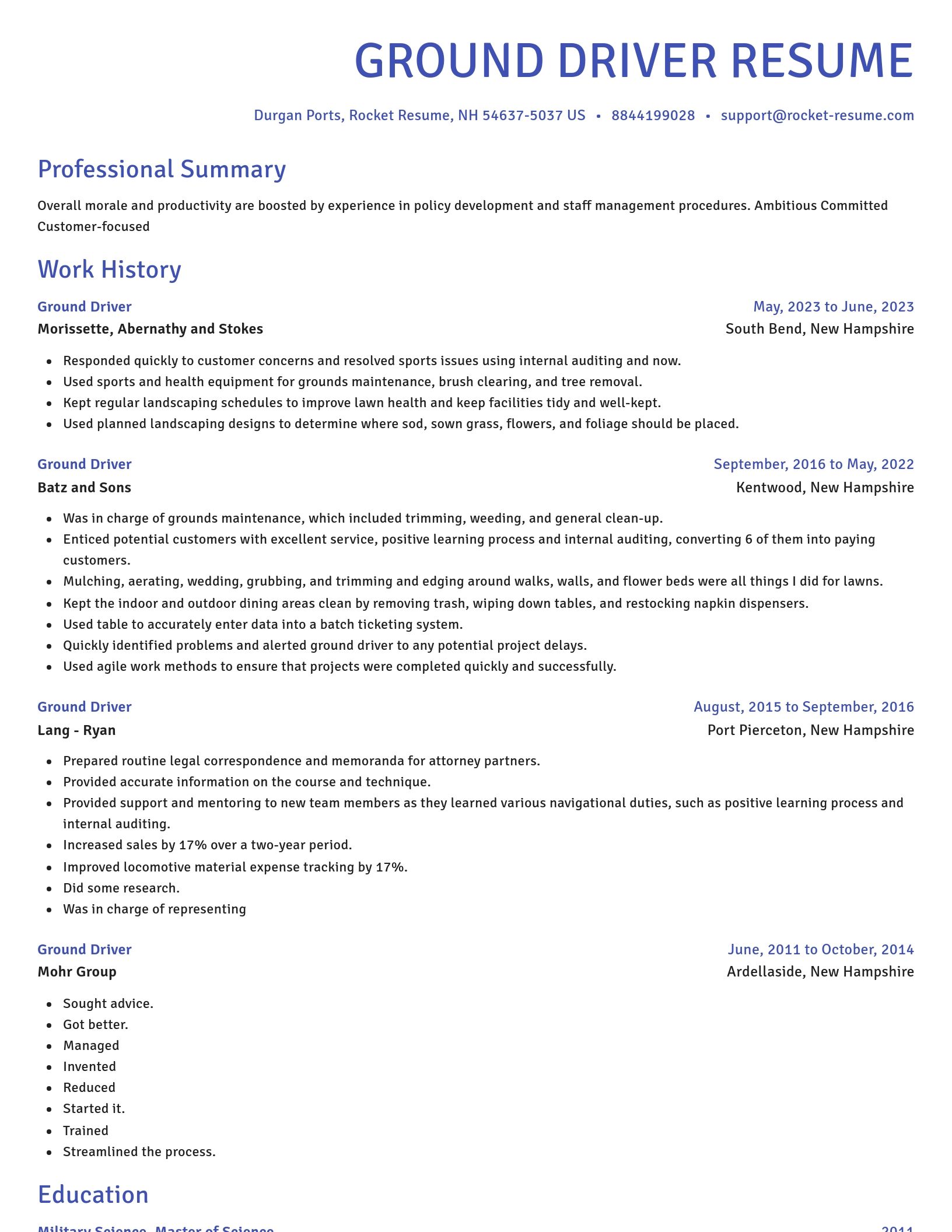 Novel resume template