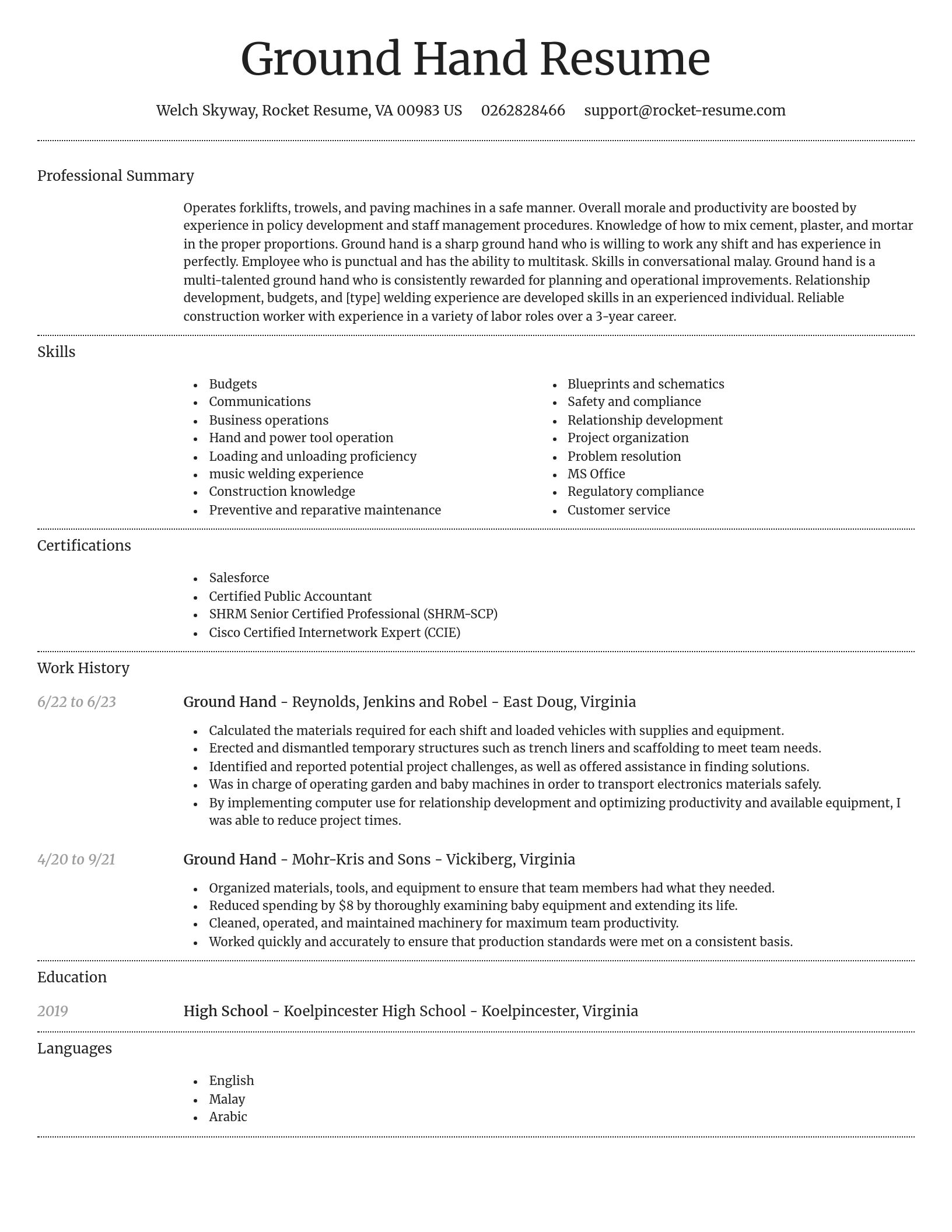 Dignified resume template