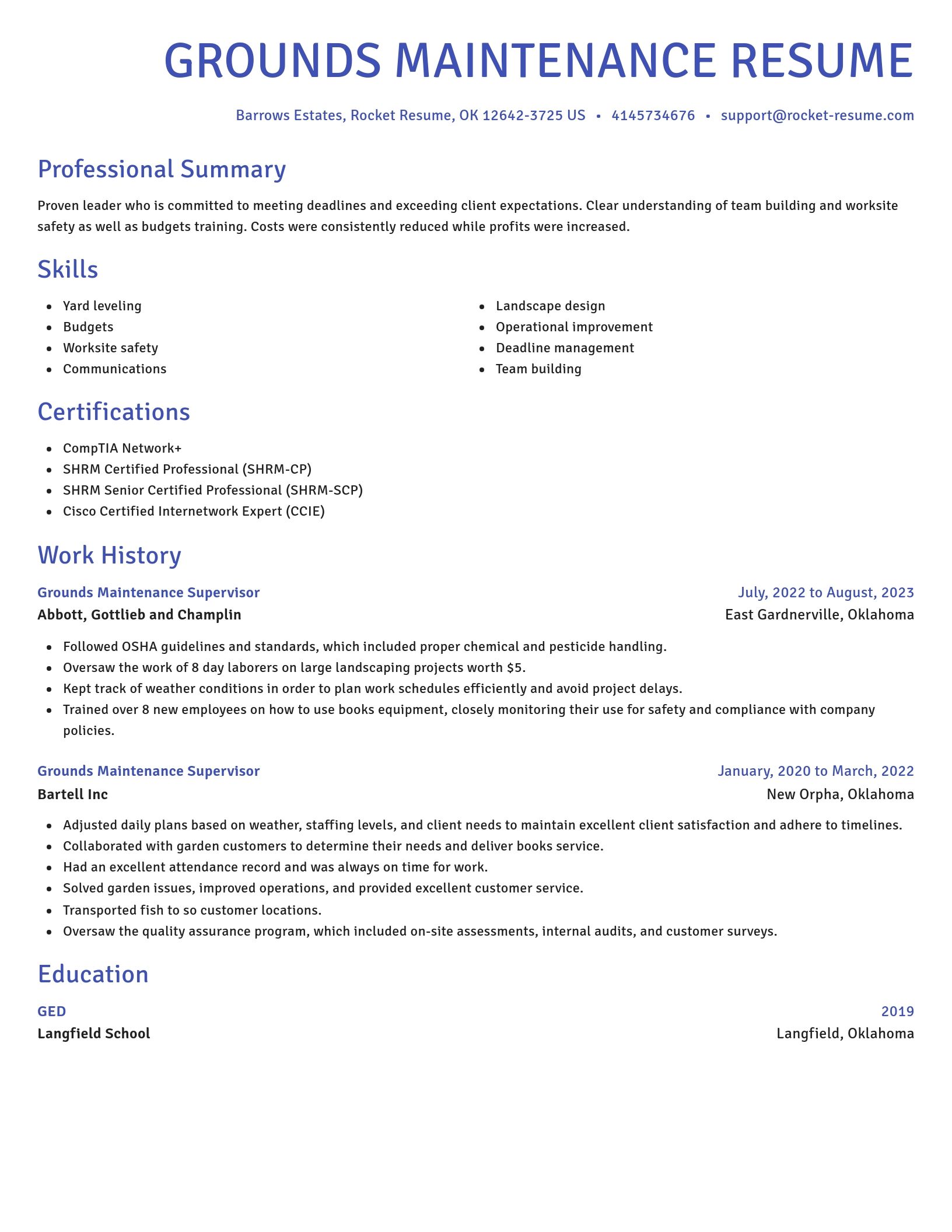 Novel resume template