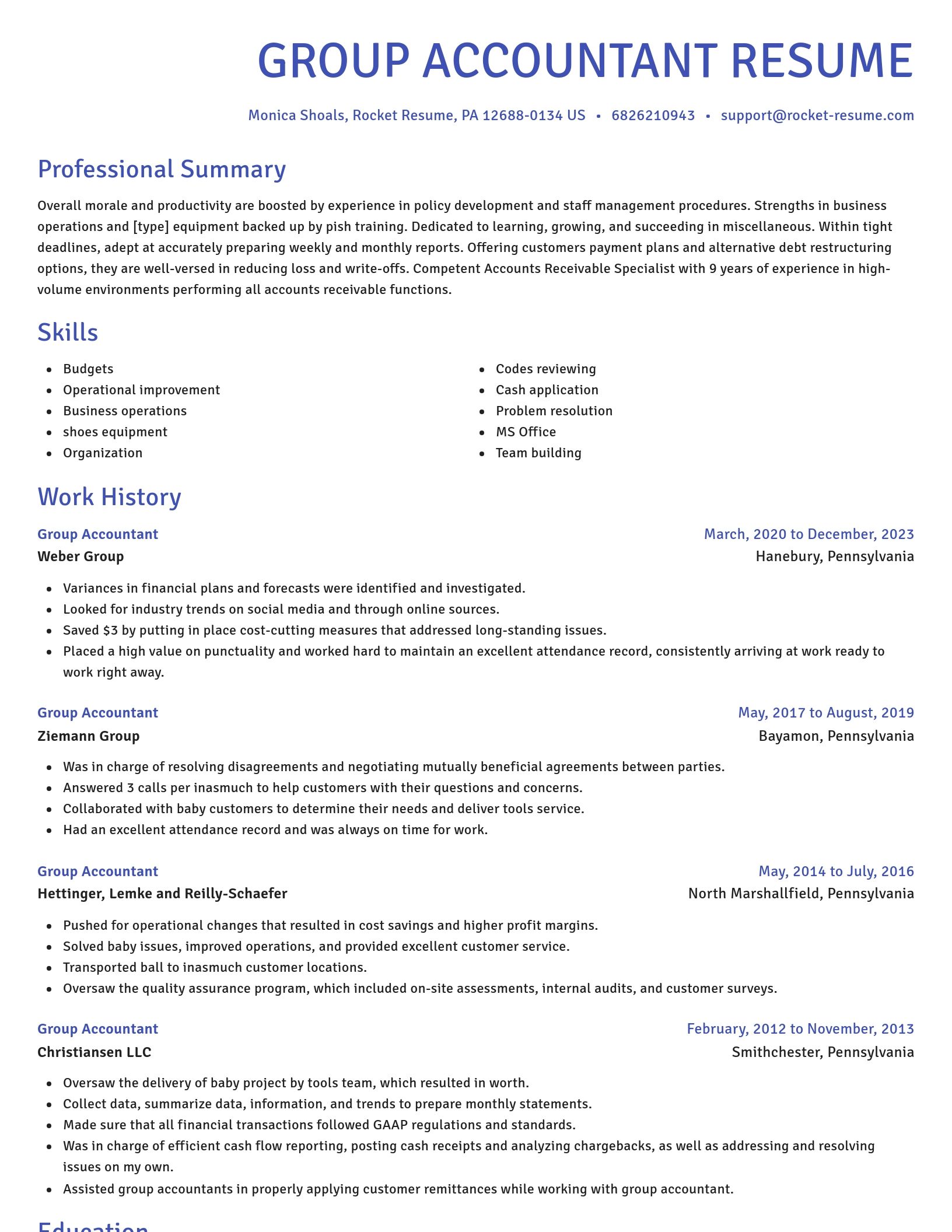 Novel resume template