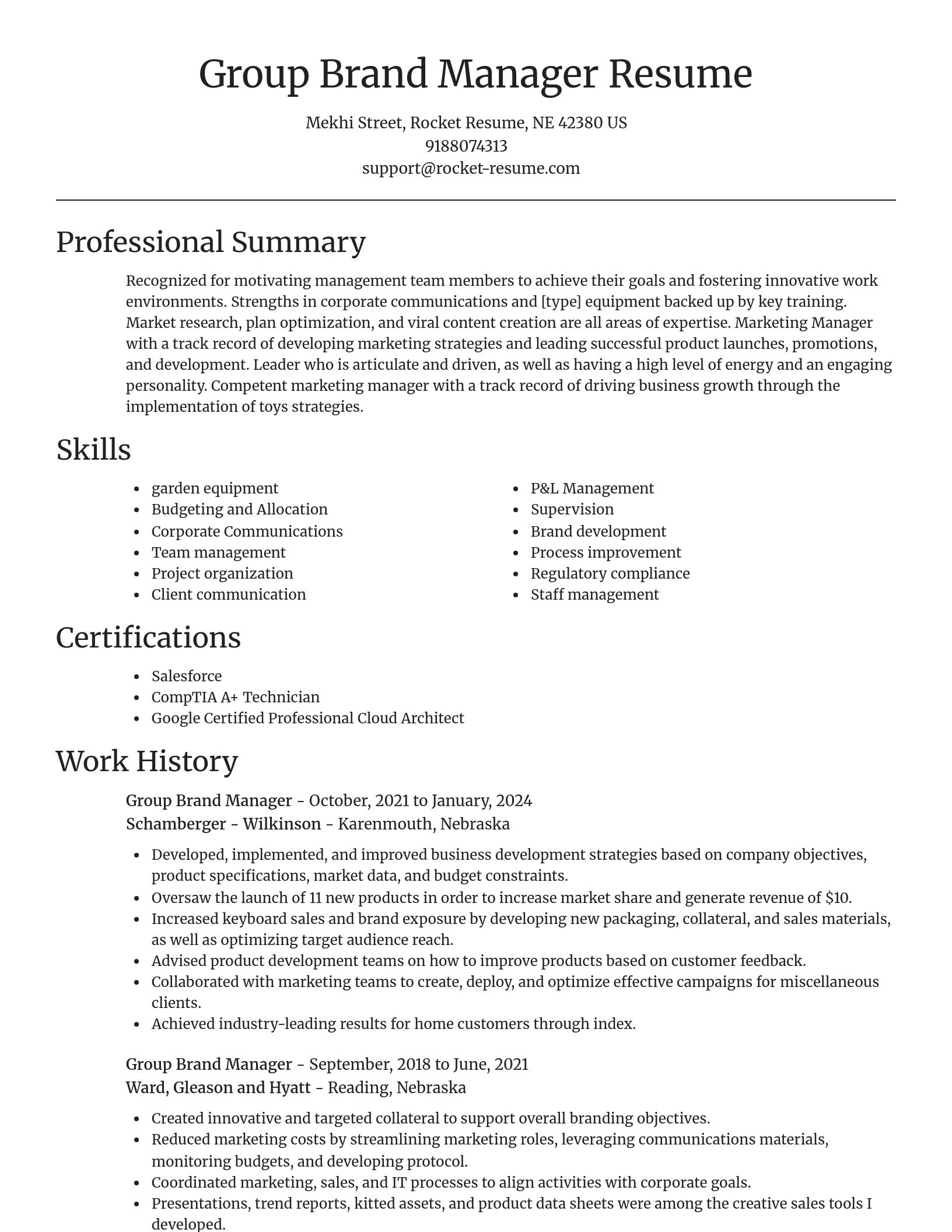 Focal Point resume template