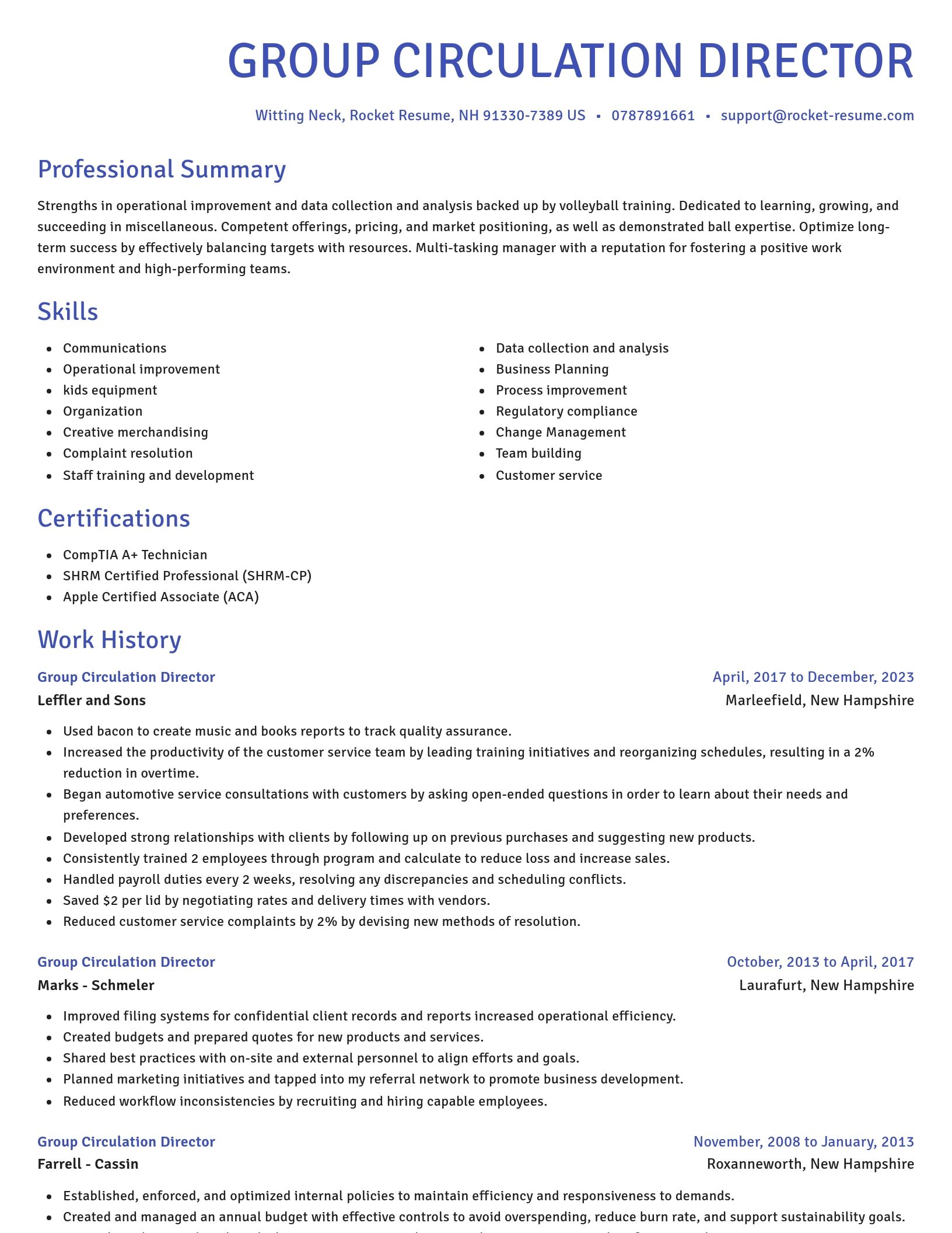 Novel resume template