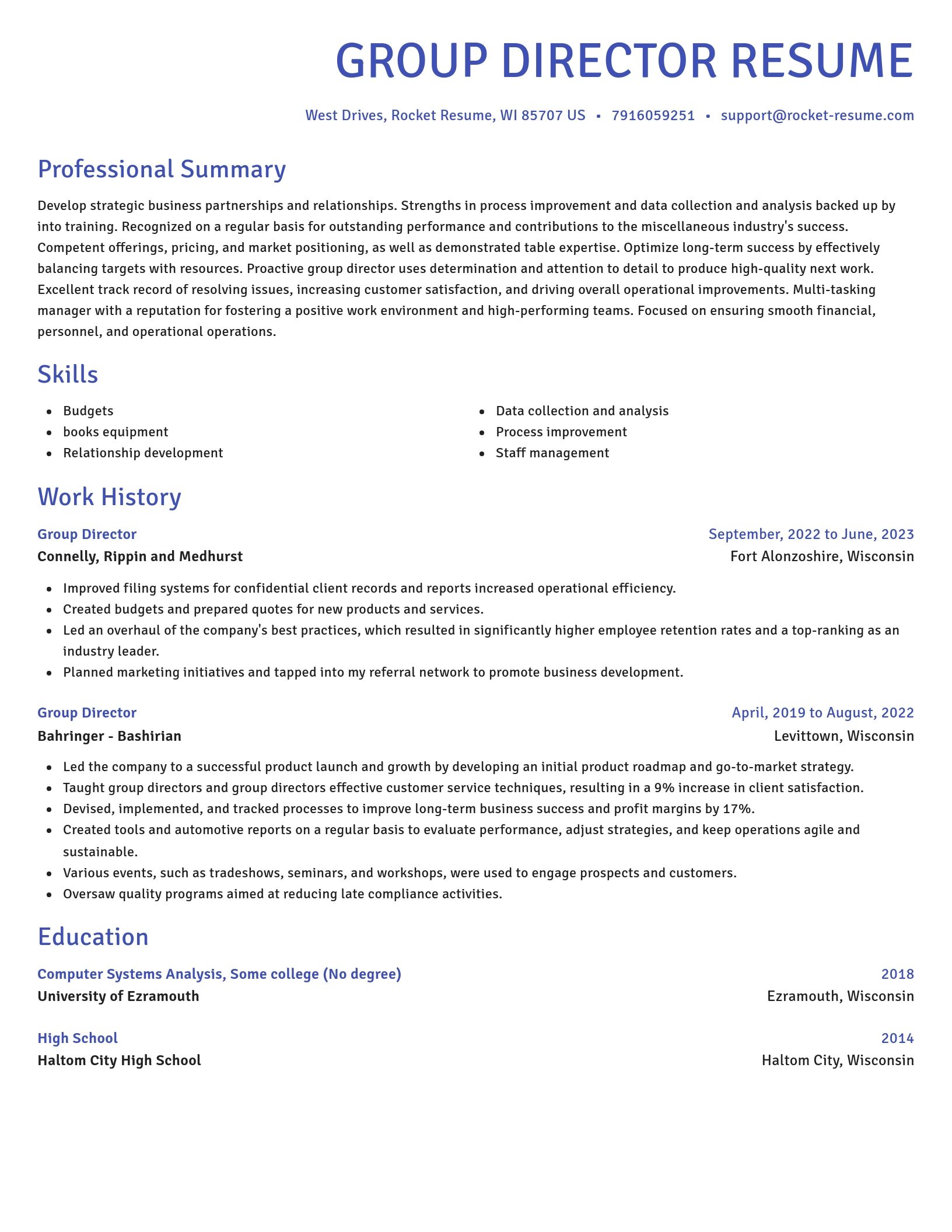 Novel resume template