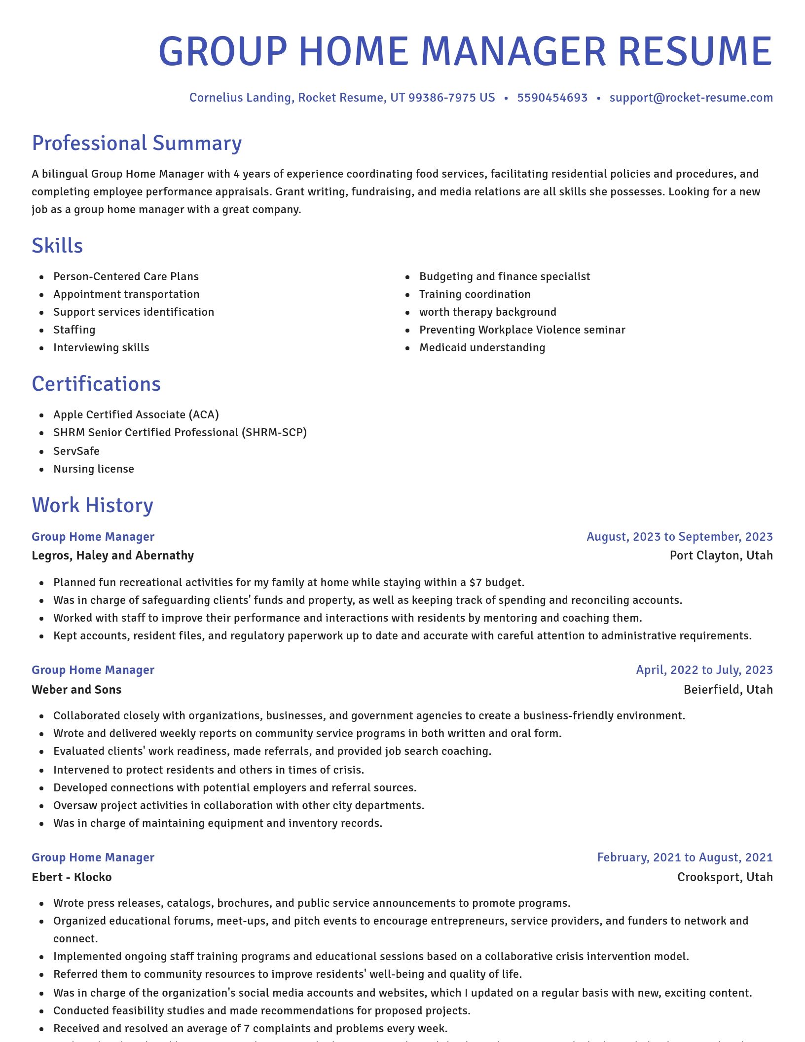 Novel resume template