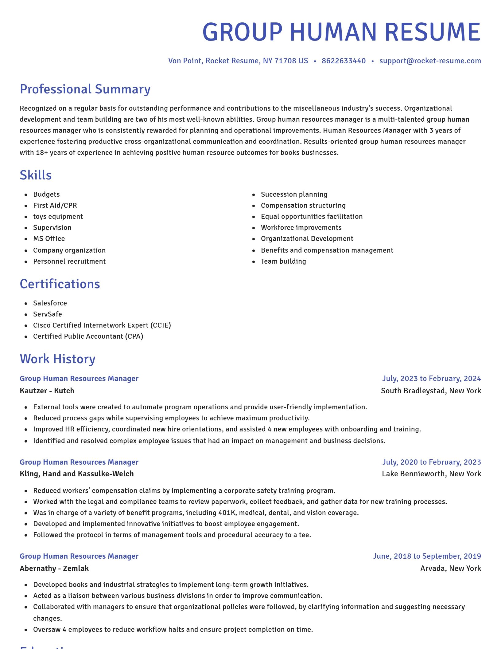 Novel resume template