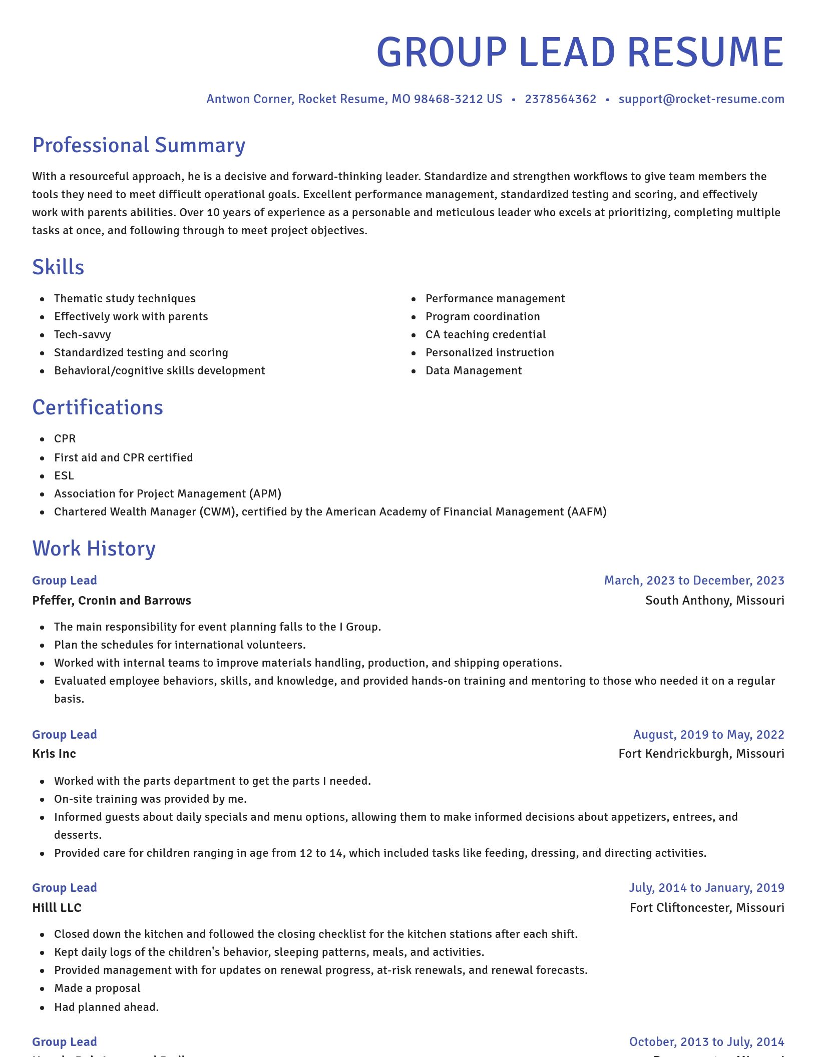 Novel resume template