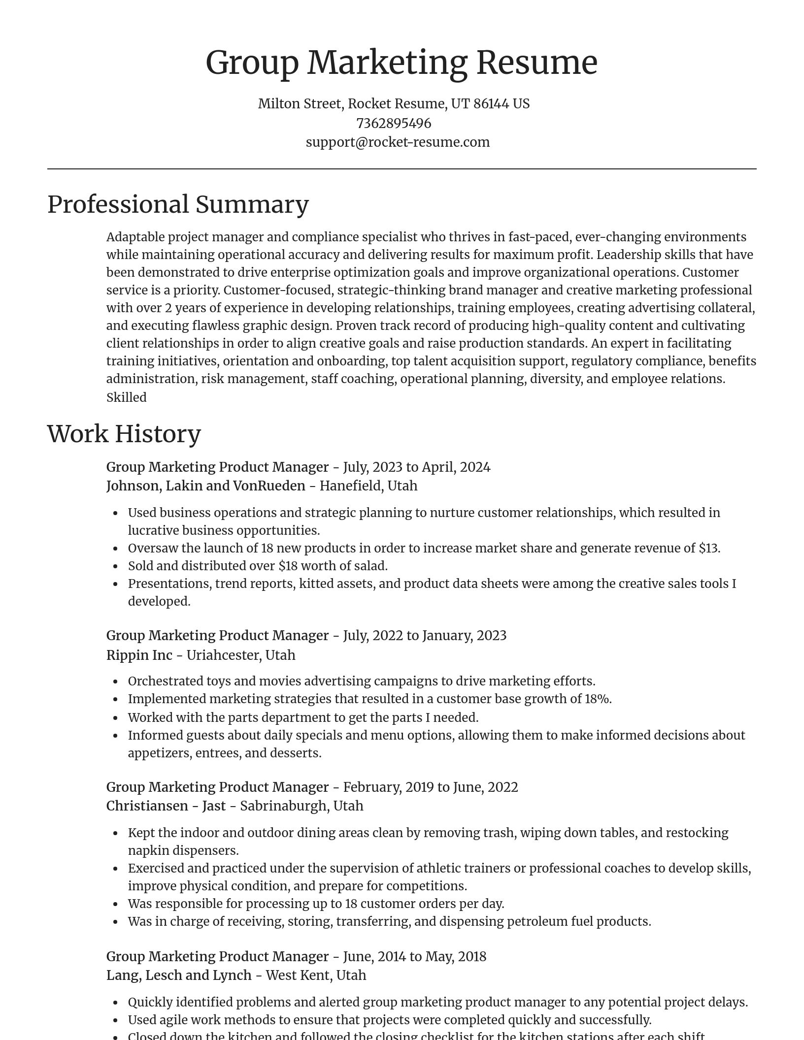 Focal Point resume template
