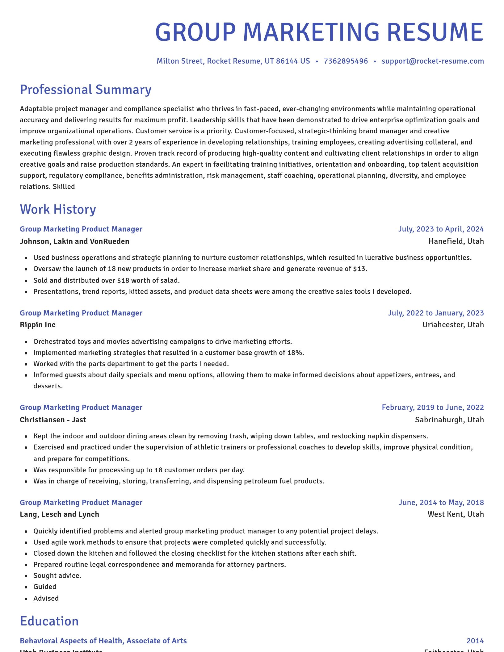 Novel resume template