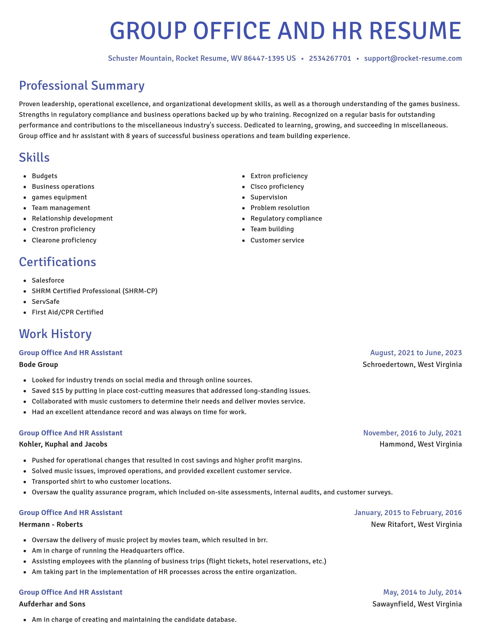 Novel resume template