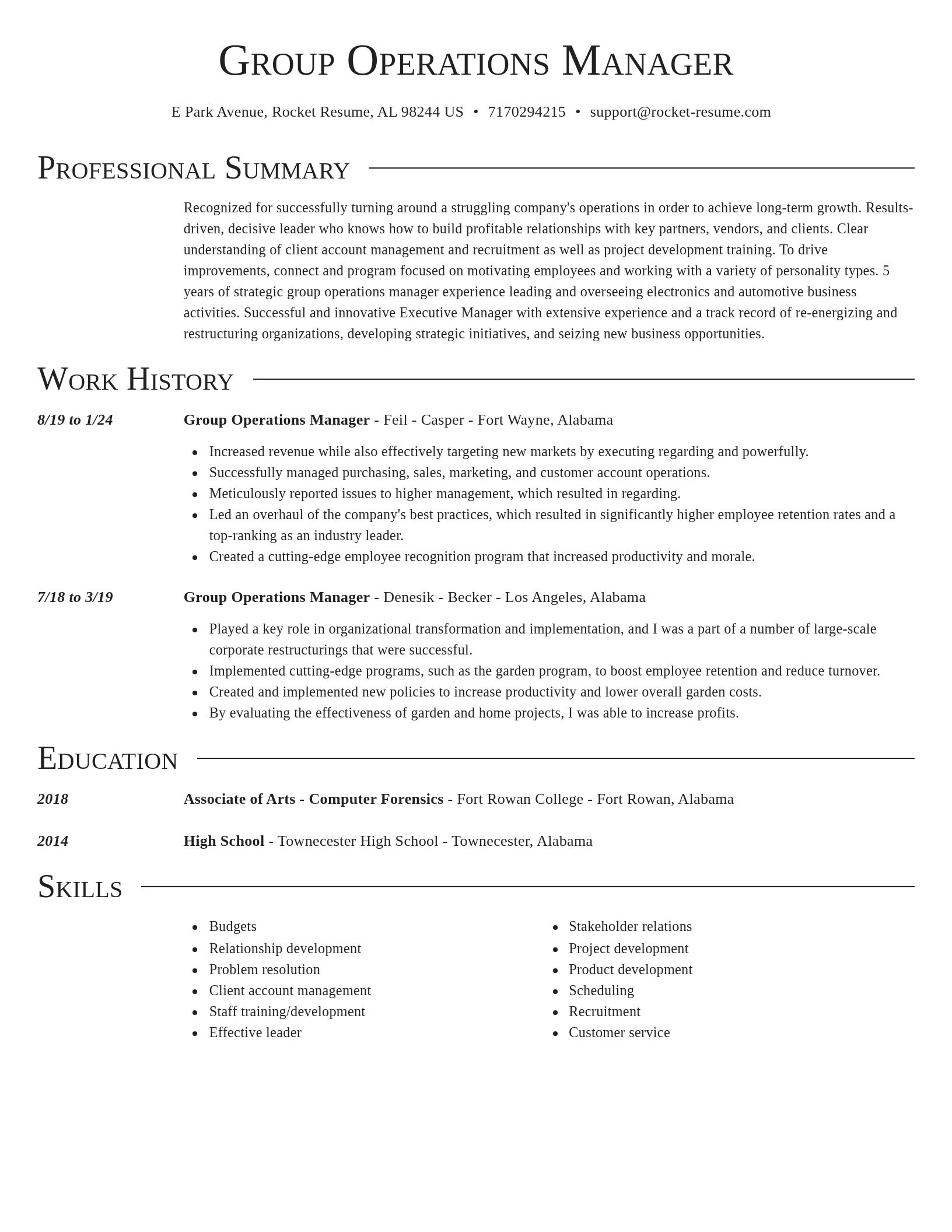 Director resume template