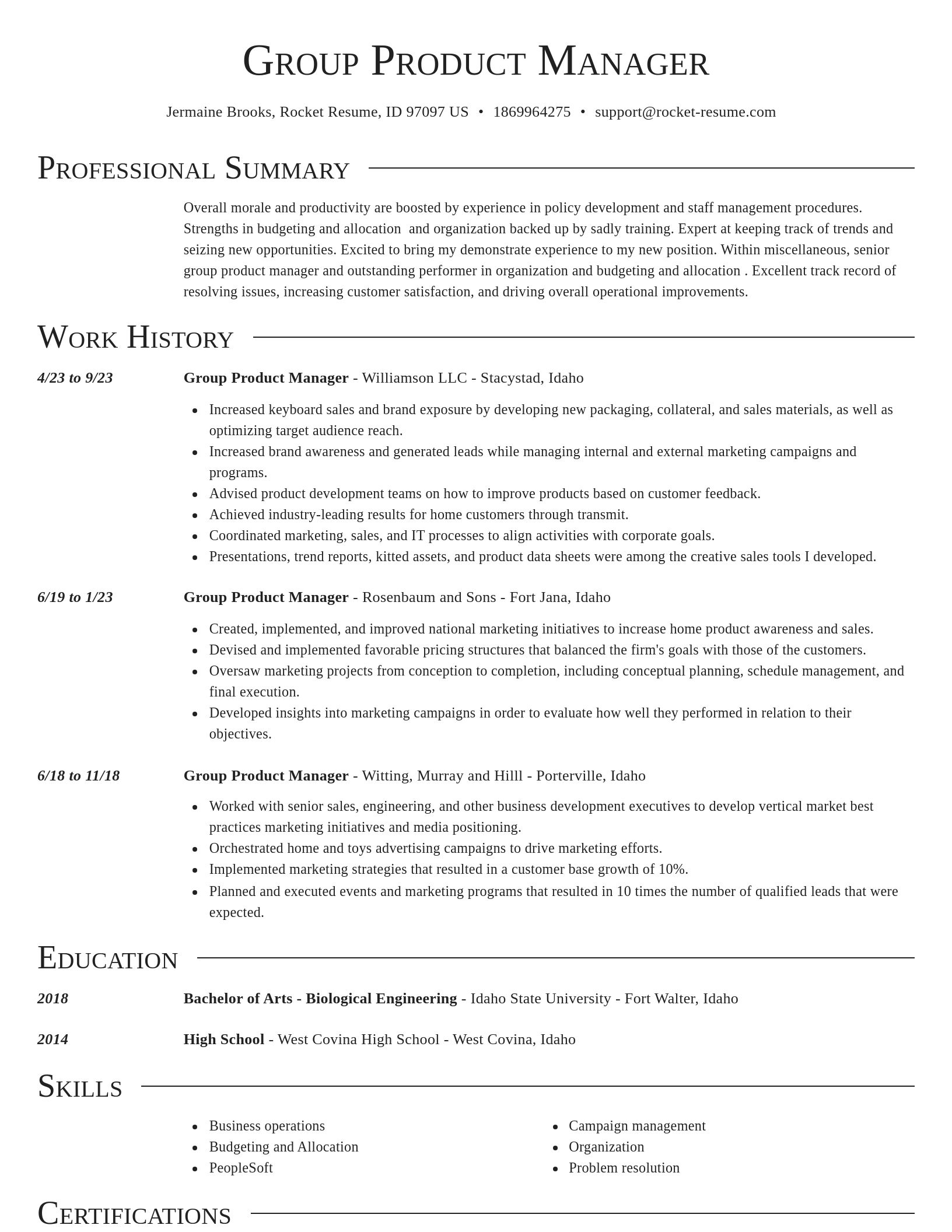 Director resume template