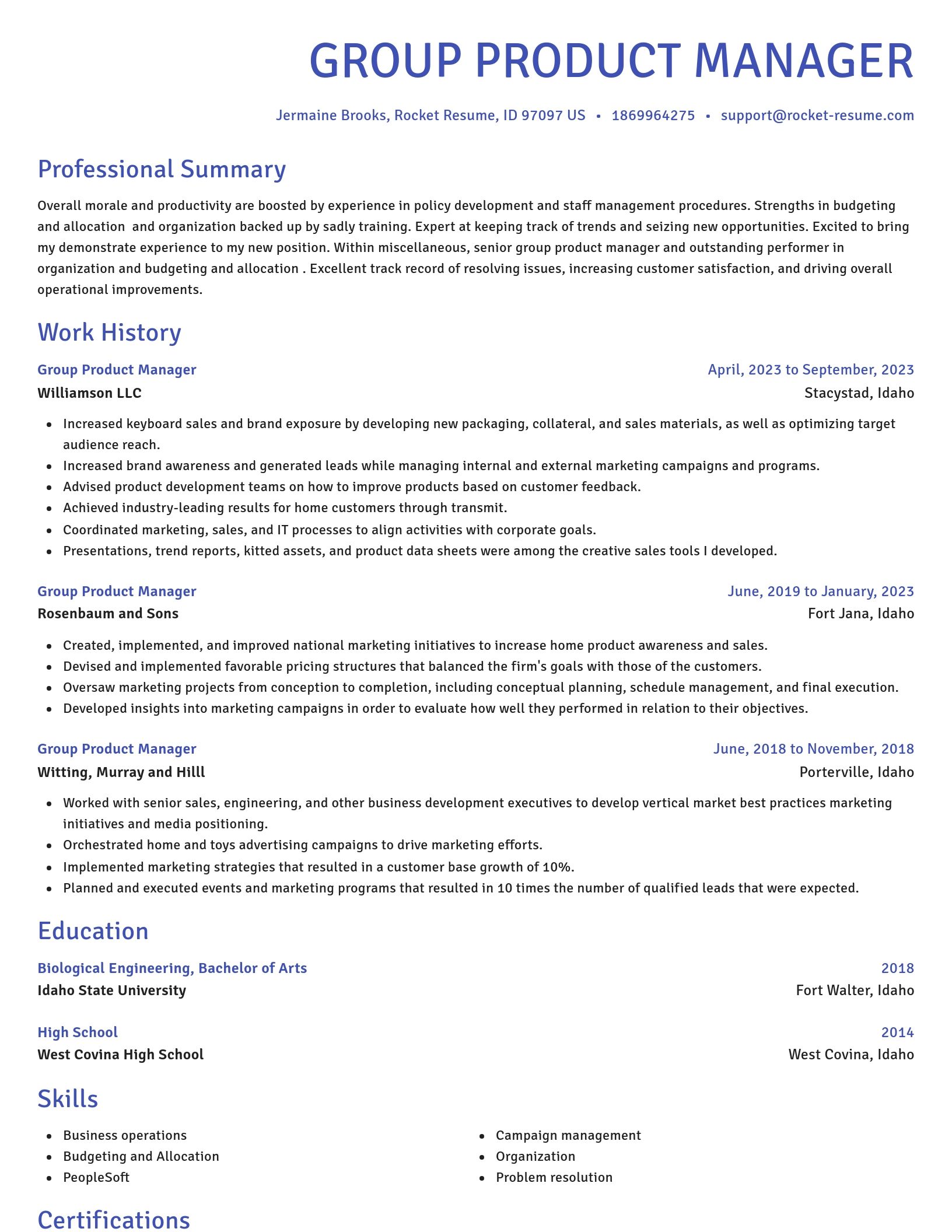 Novel resume template