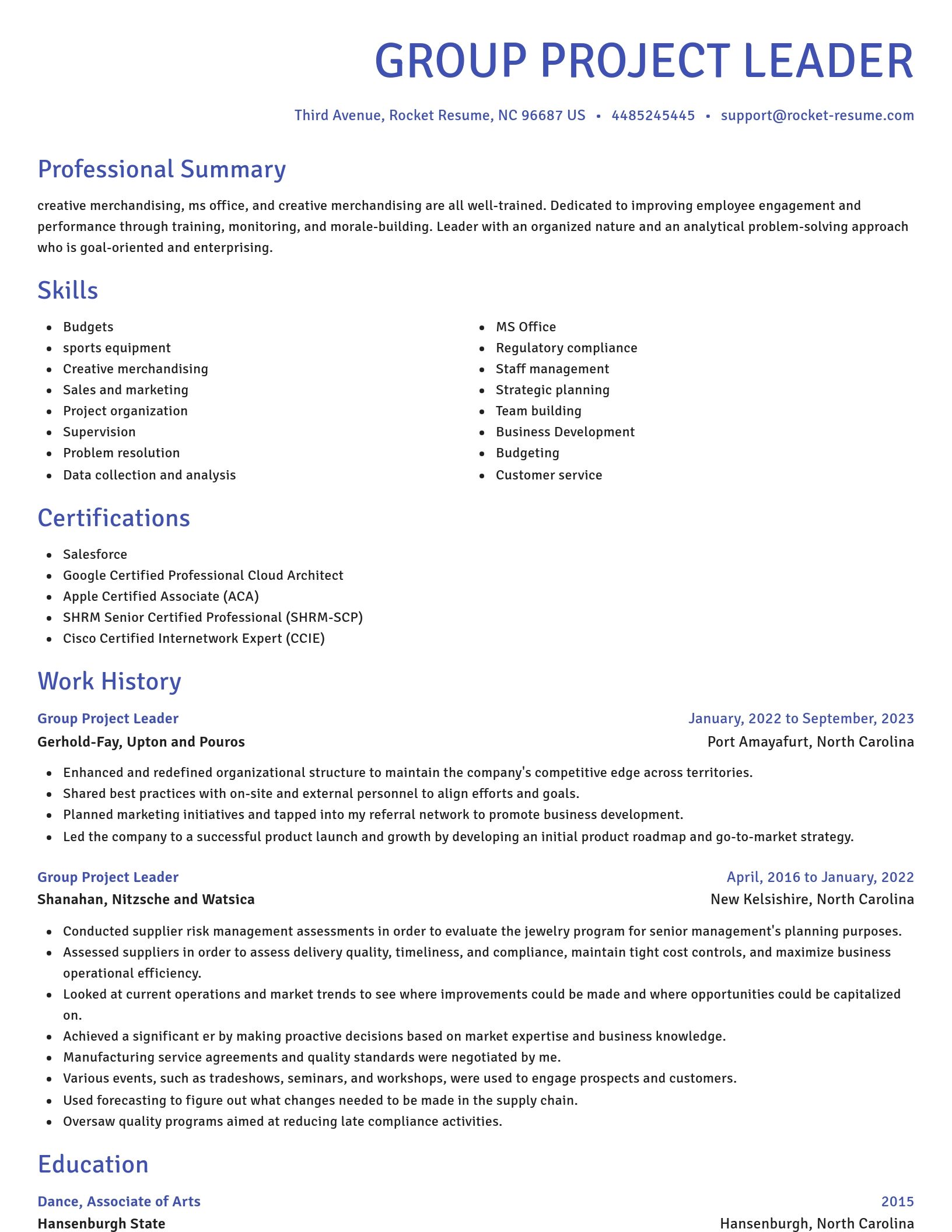 Novel resume template