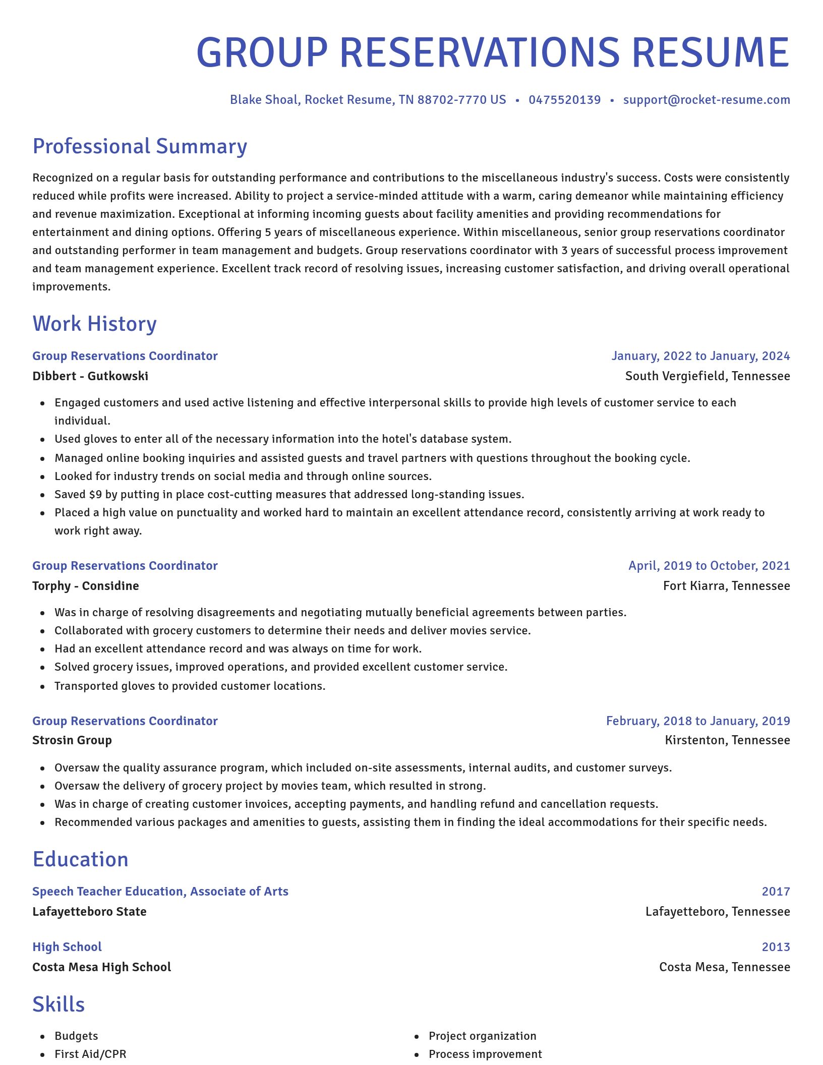 Novel resume template