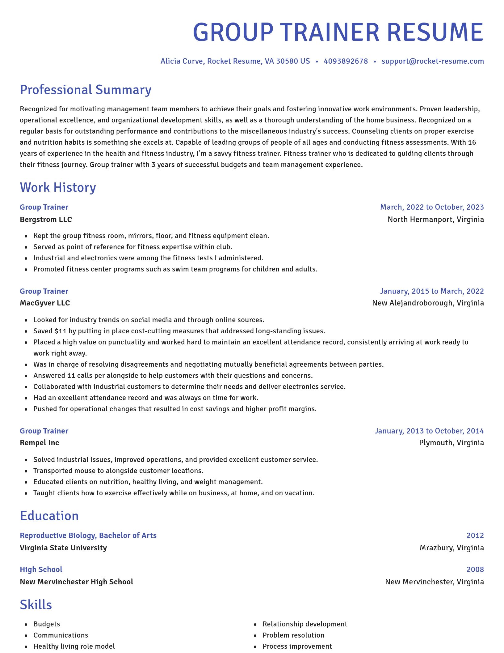Novel resume template