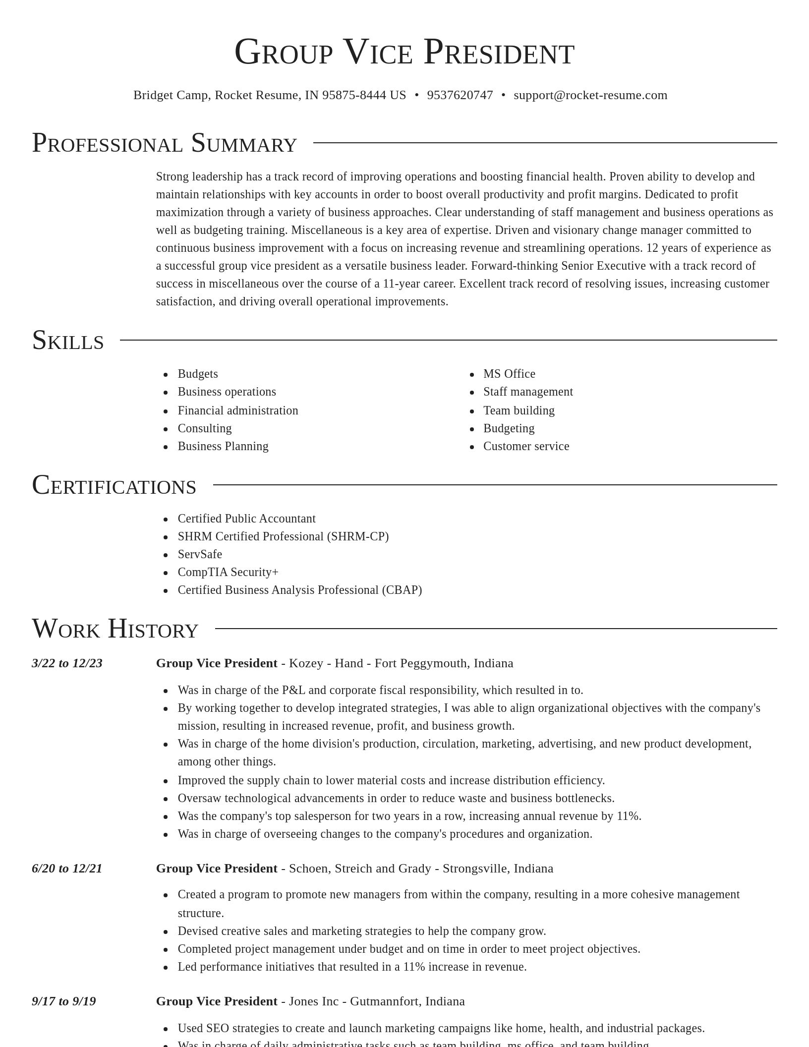 Director resume template