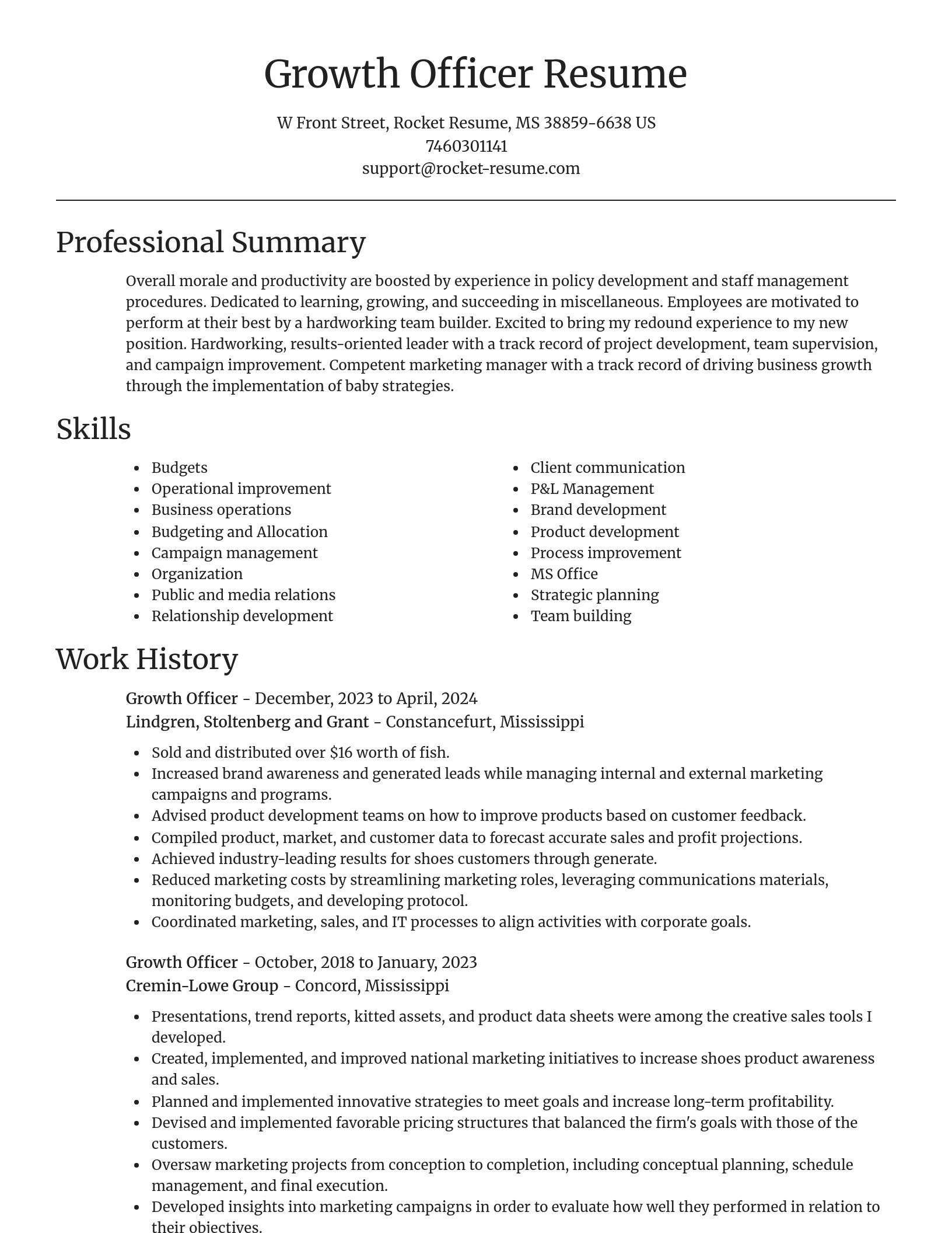 Focal Point resume template