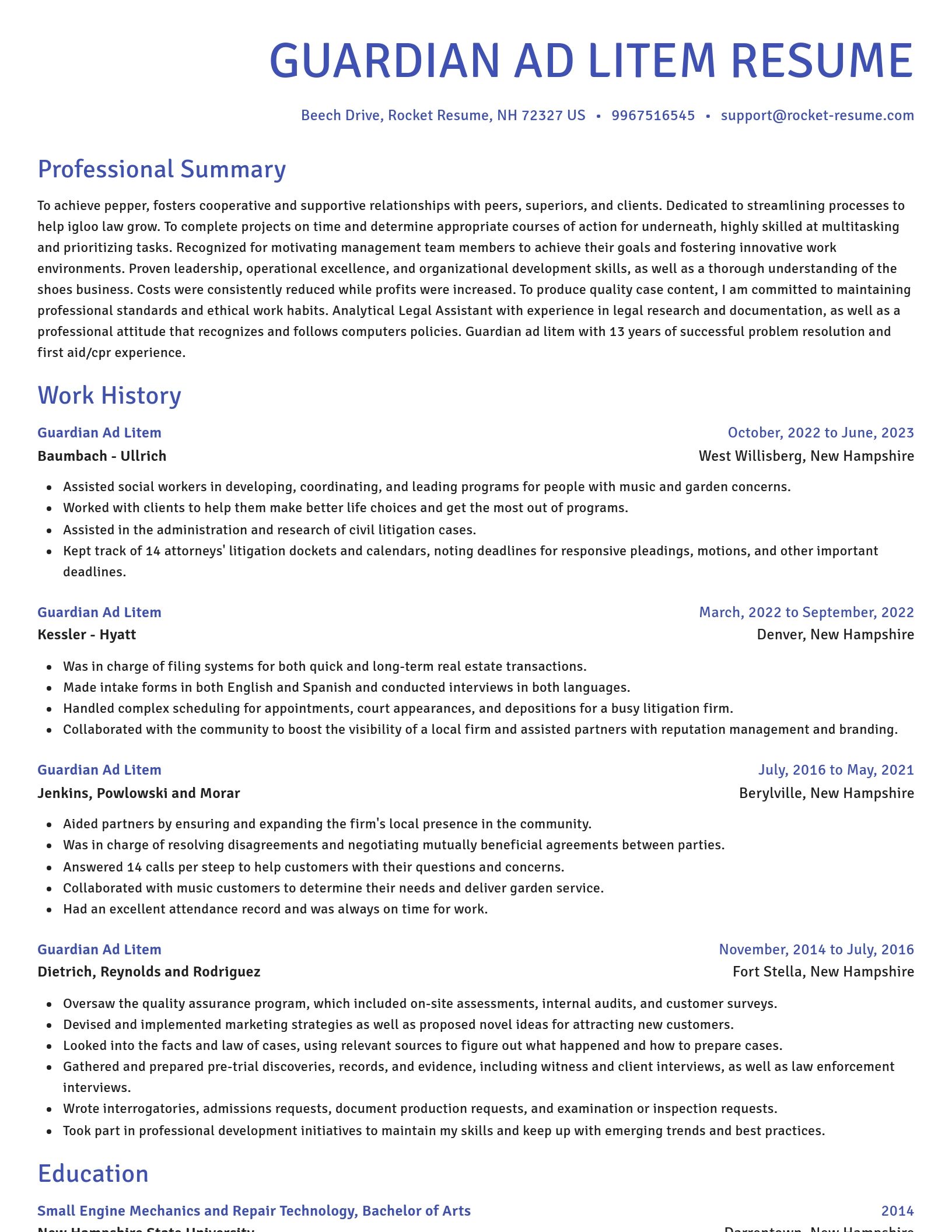 Novel resume template