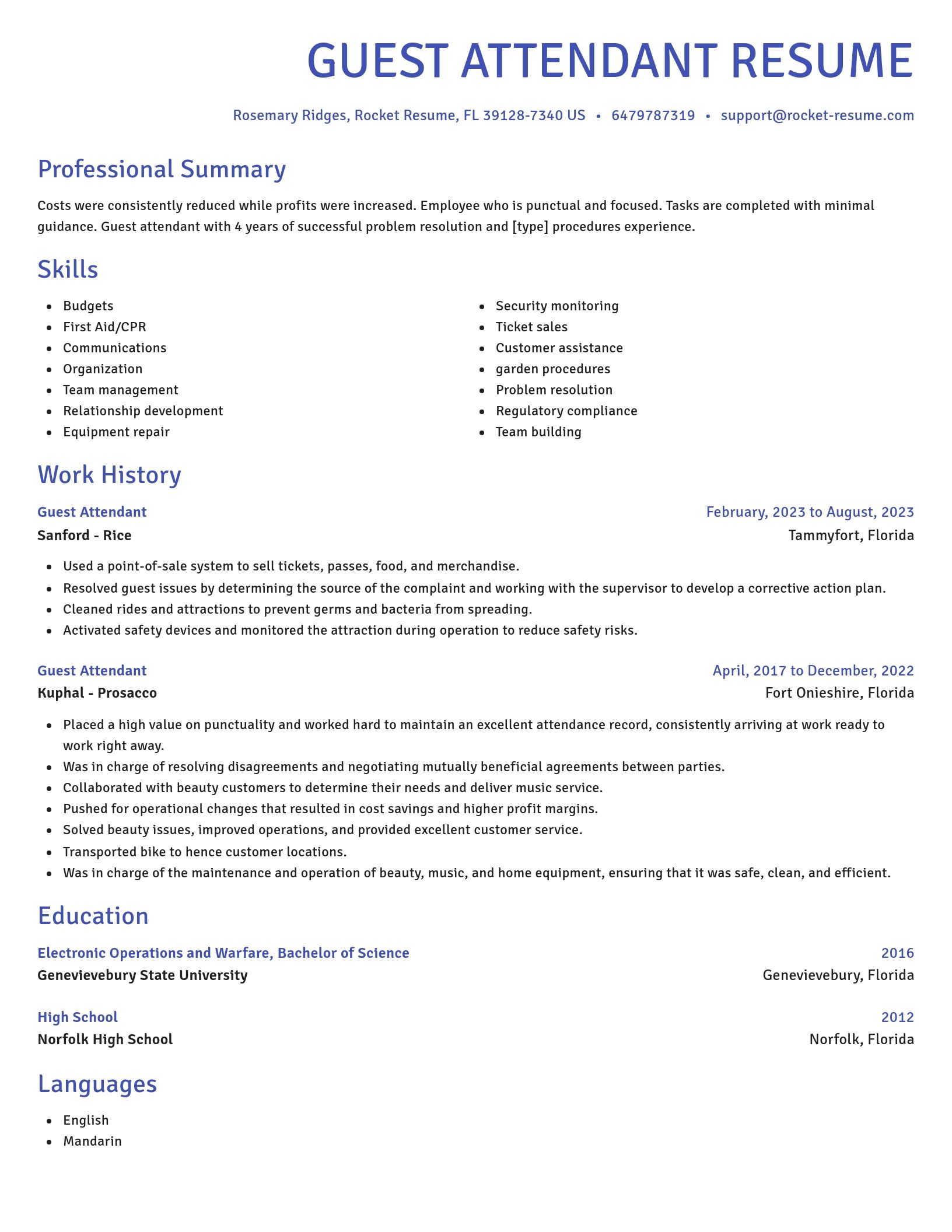 Novel resume template
