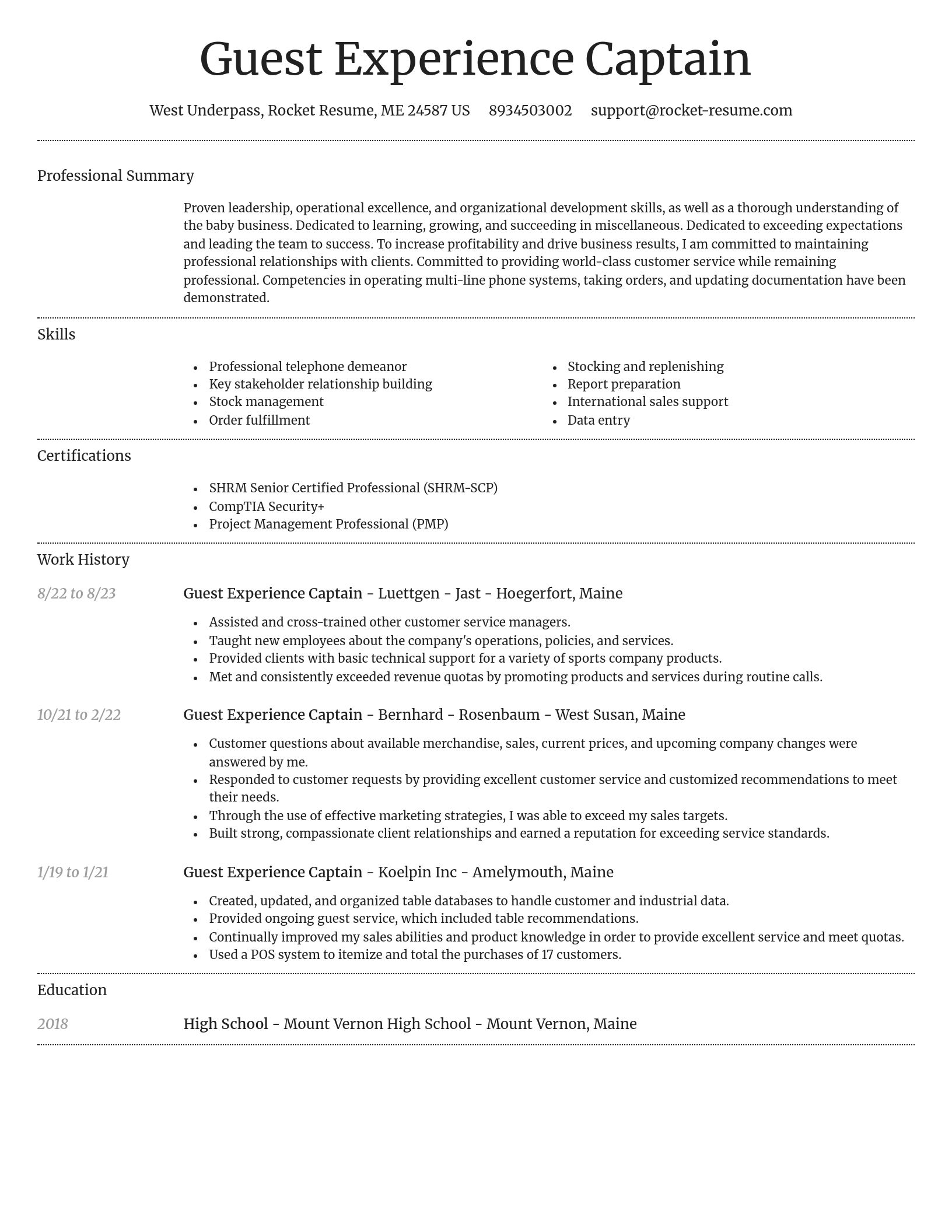 Dignified resume template