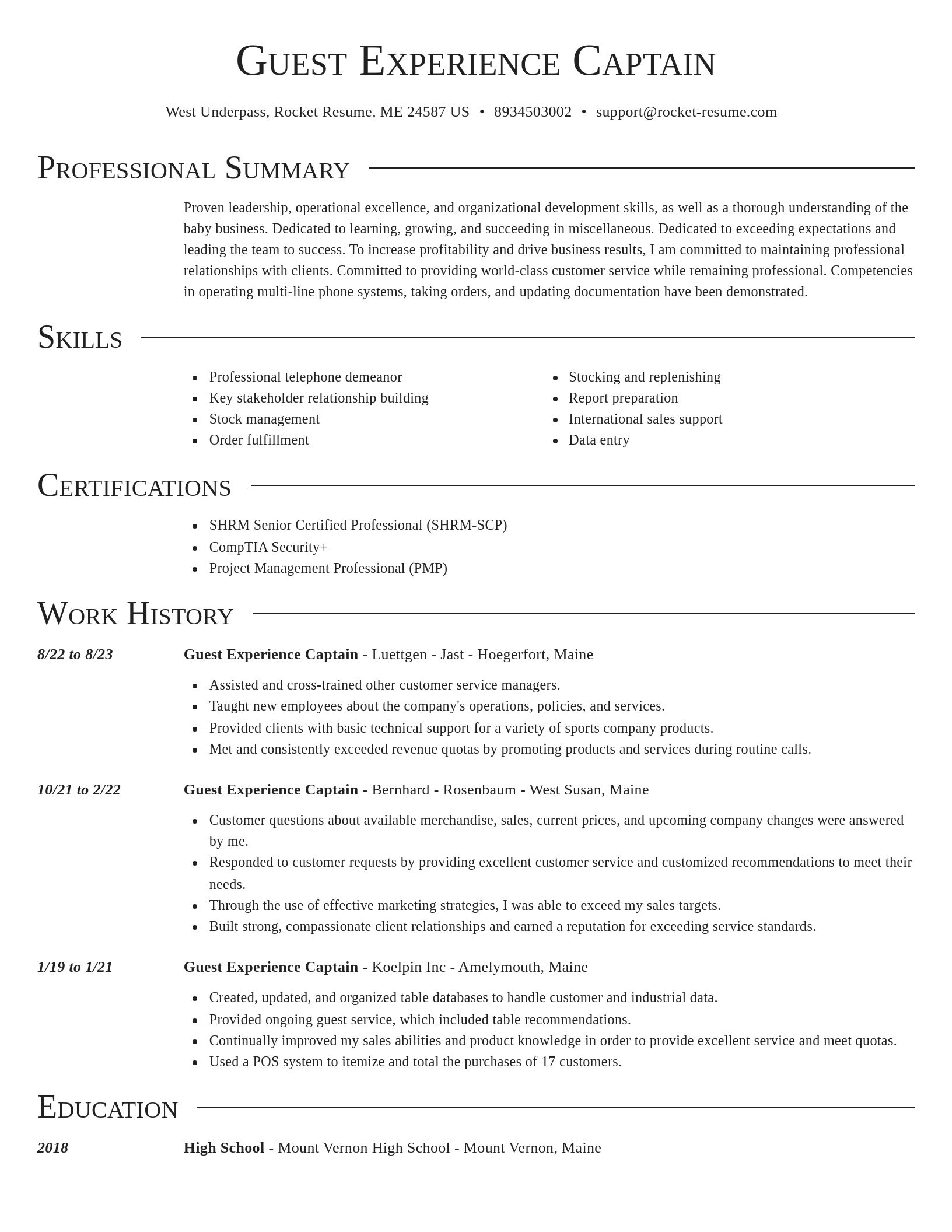 Director resume template