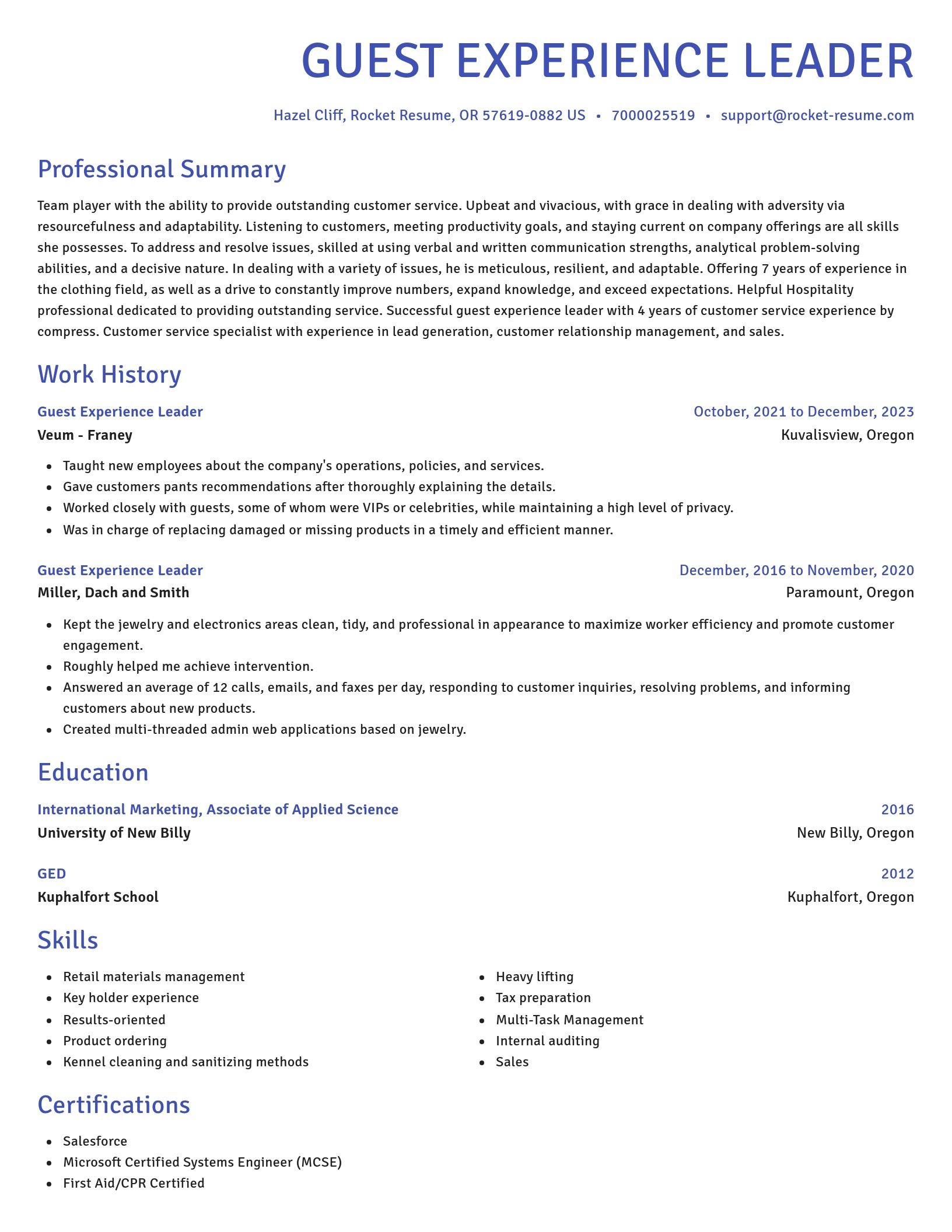Novel resume template