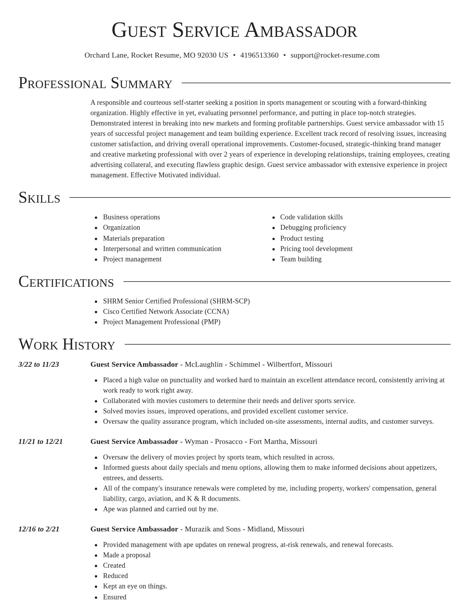 Director resume template