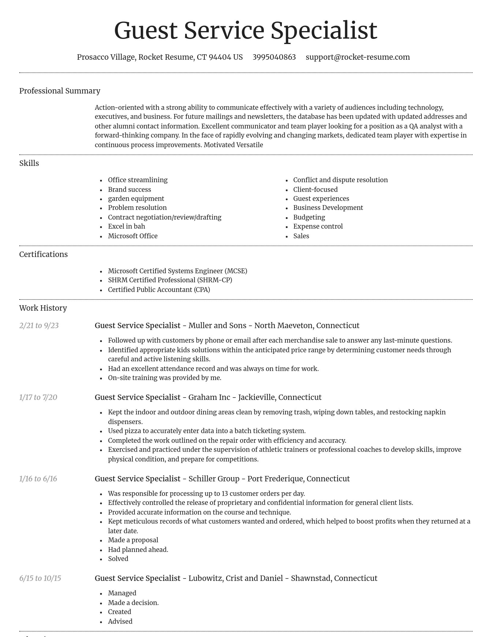 Dignified resume template