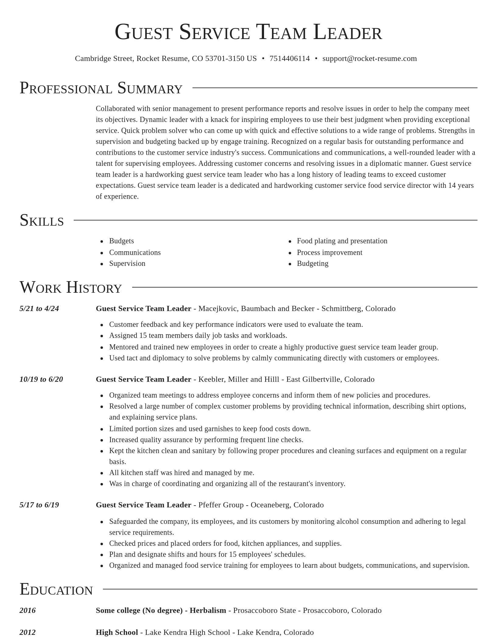 Director resume template