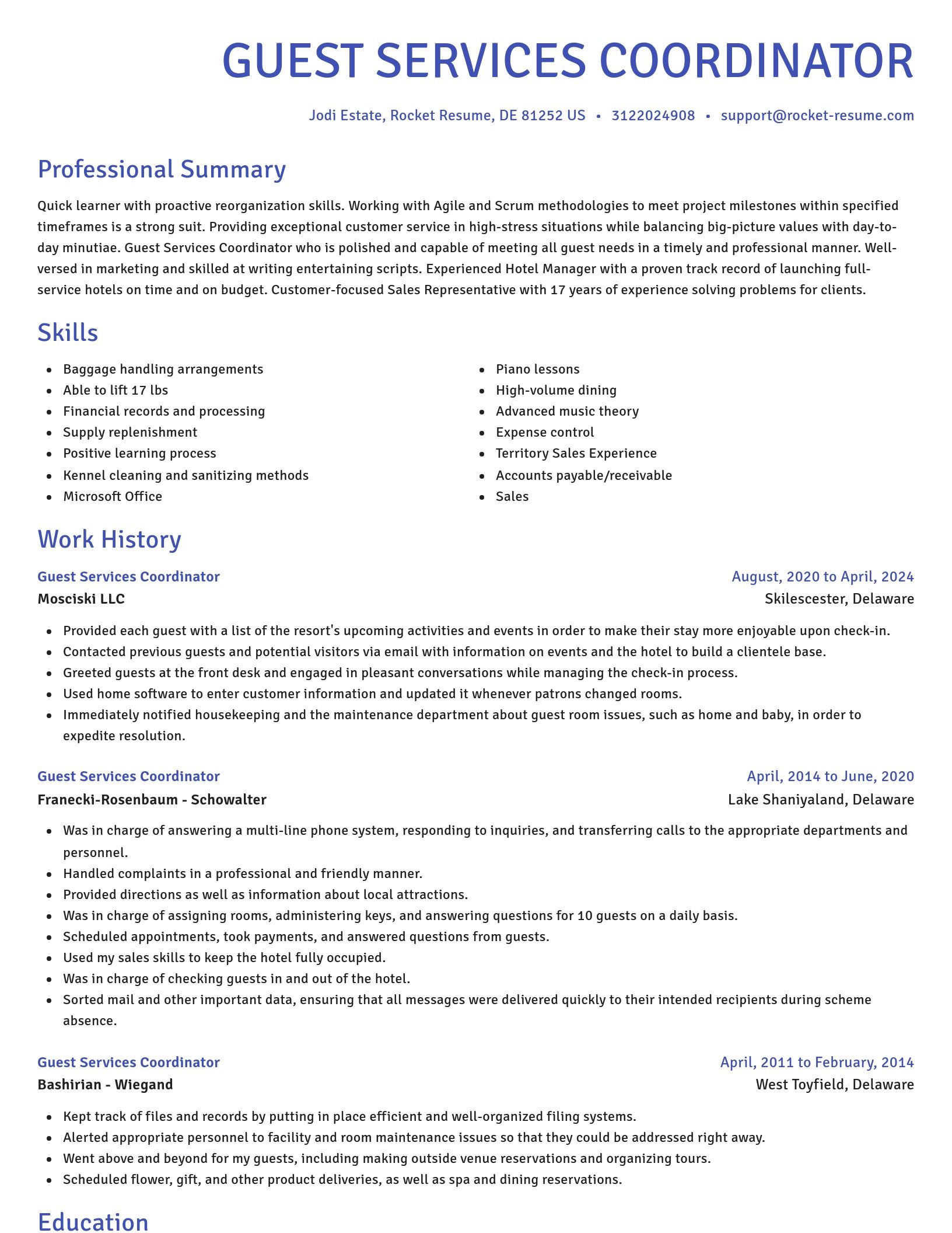 Novel resume template