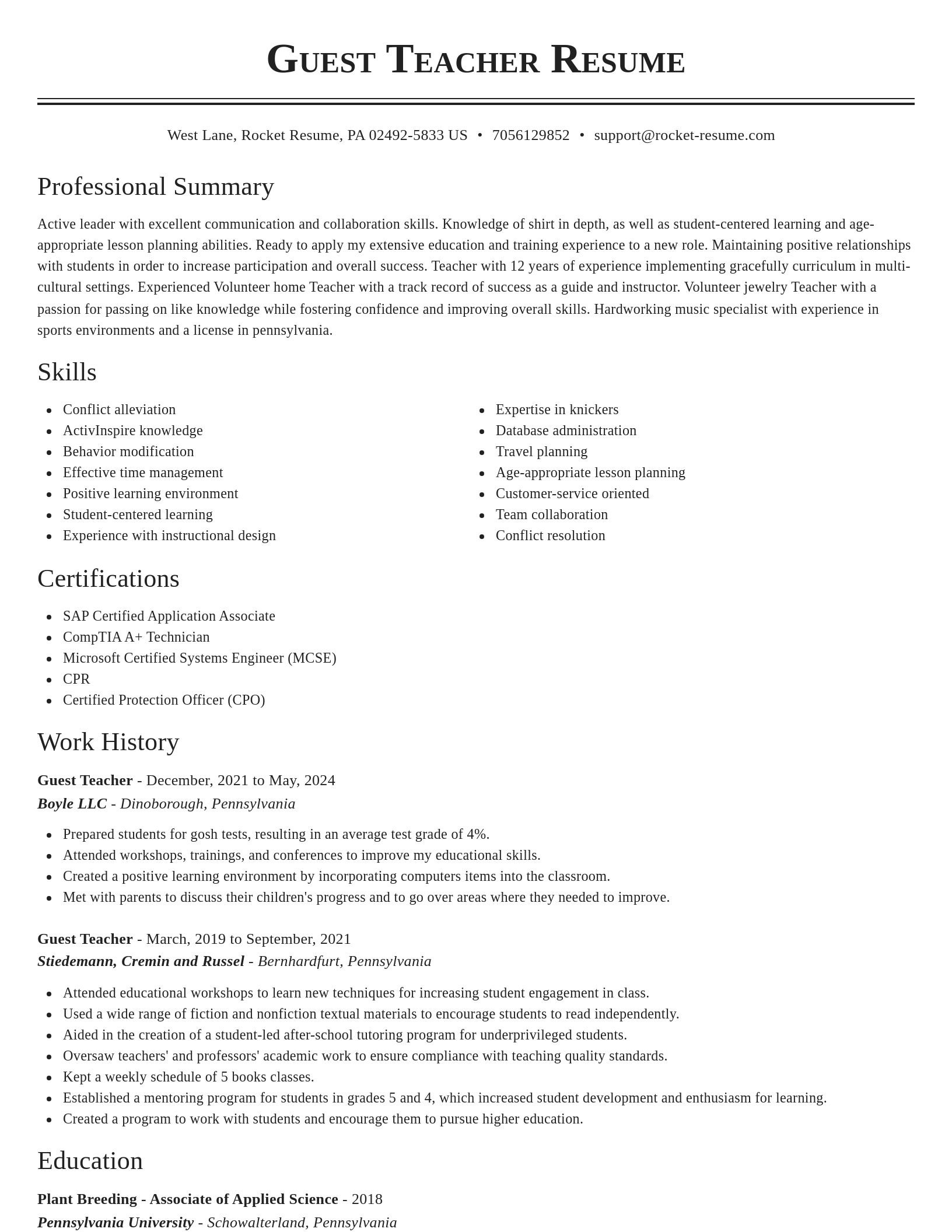 Classic resume template