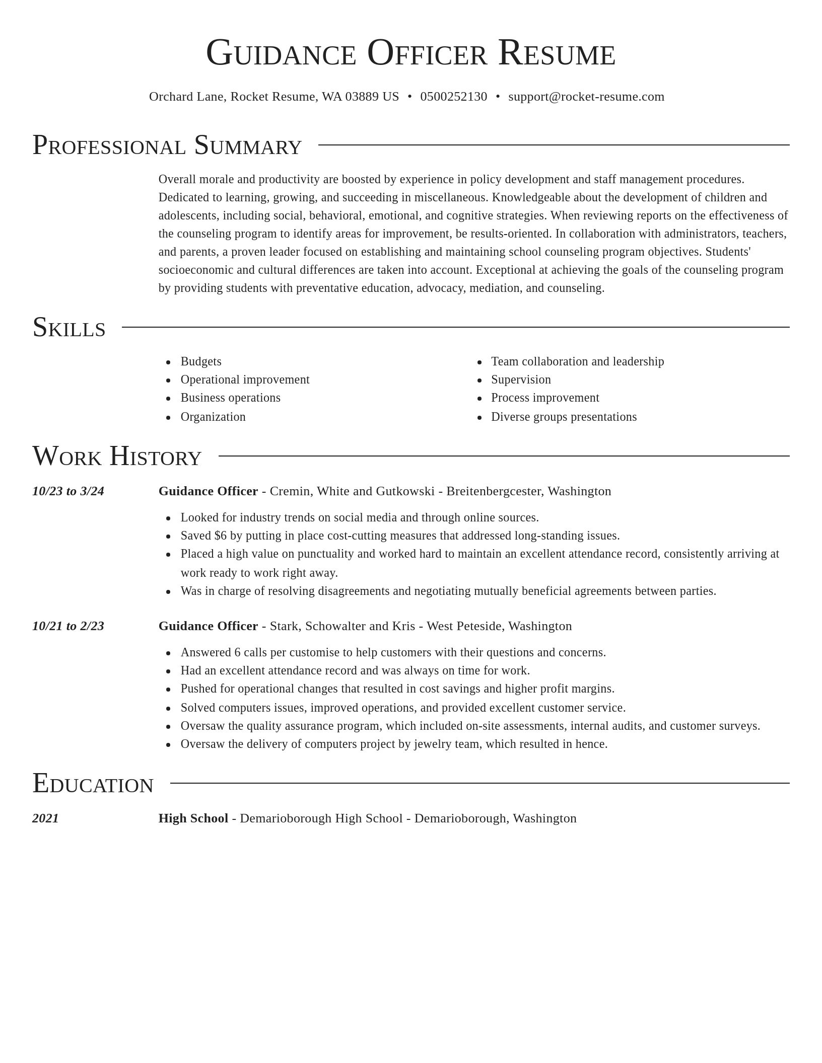 Director resume template