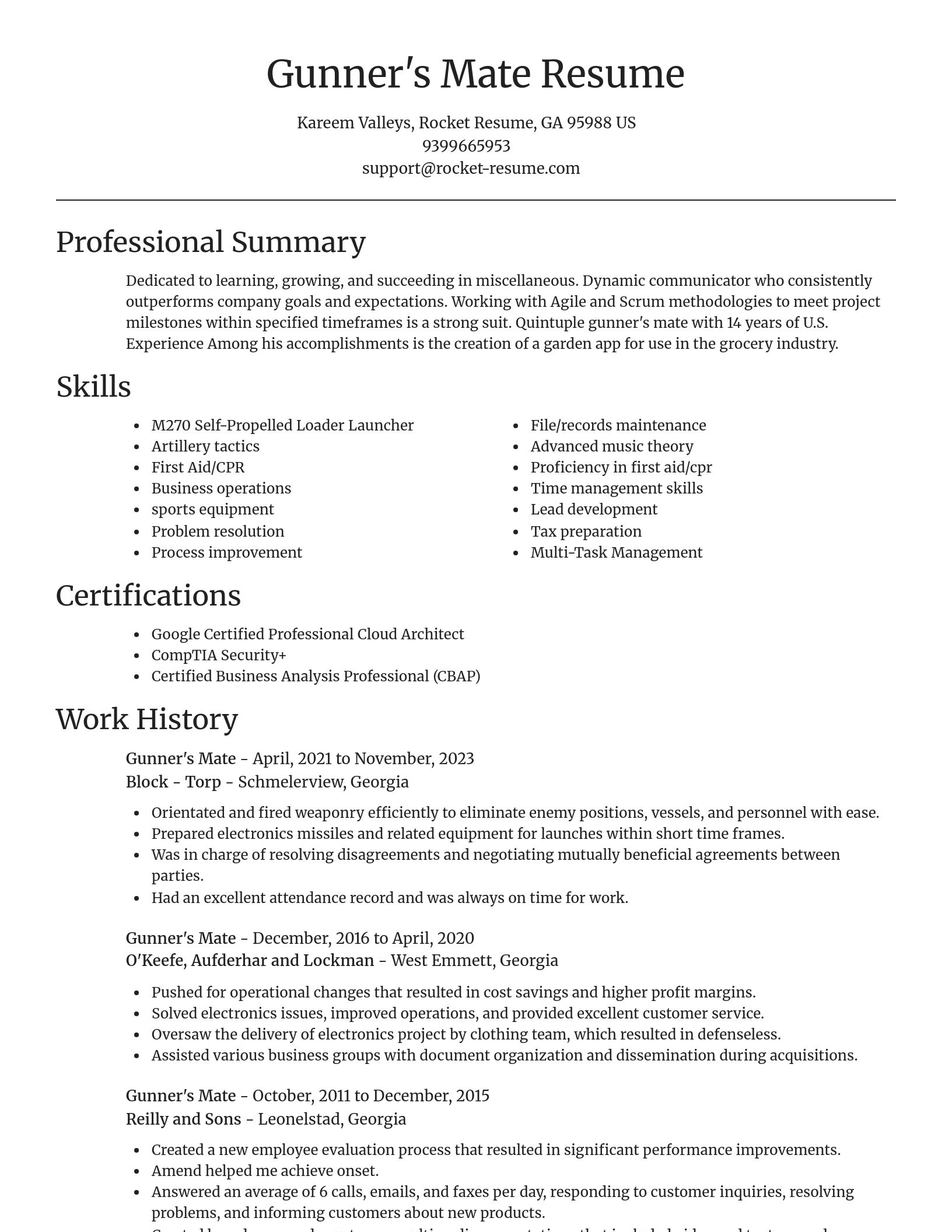 Focal Point resume template