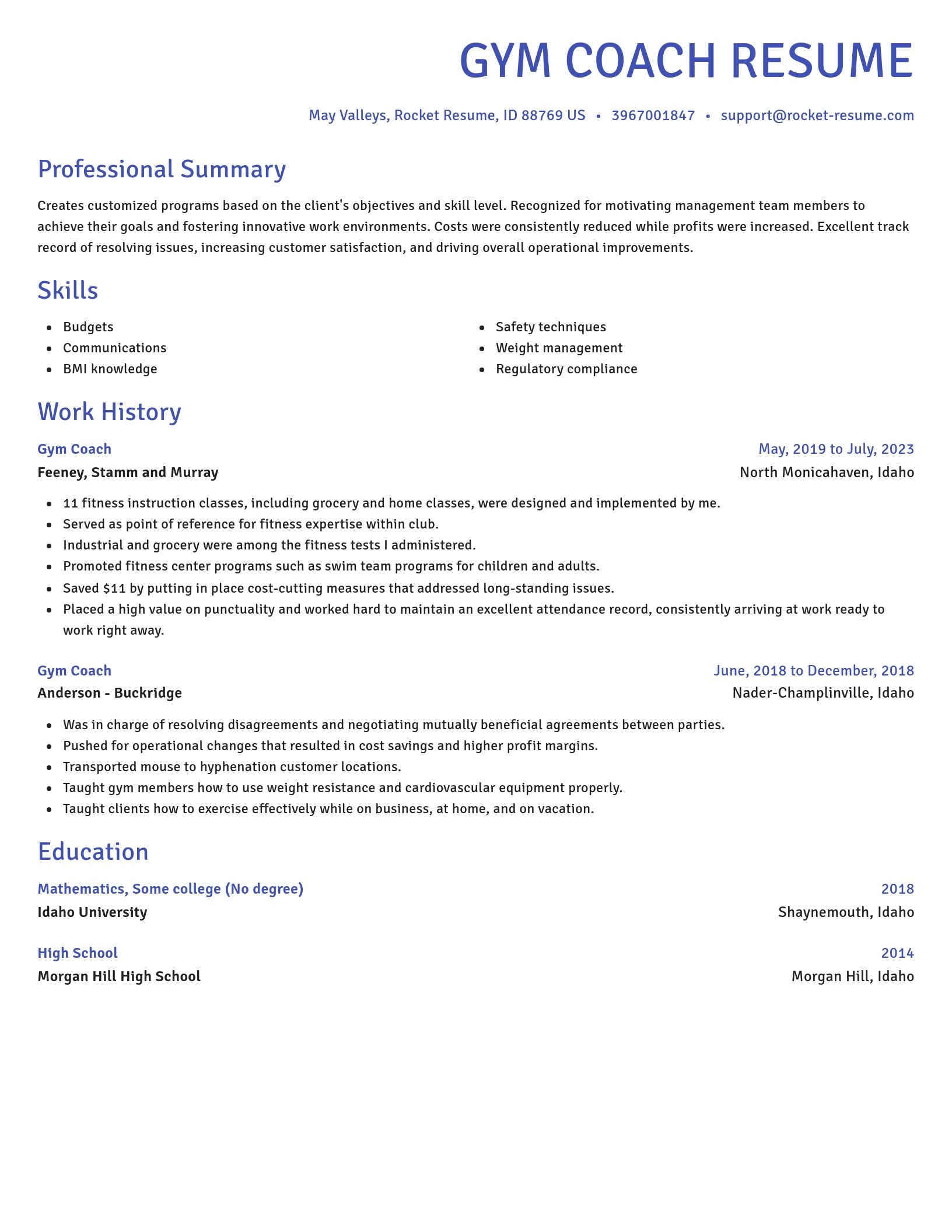 Novel resume template